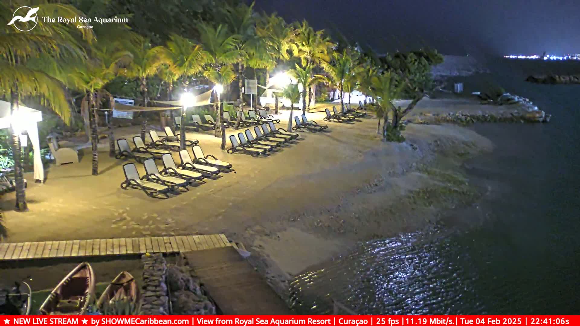 Empty lounge chairs are arranged on a sandy beach at night next to calm water under artificial light.
