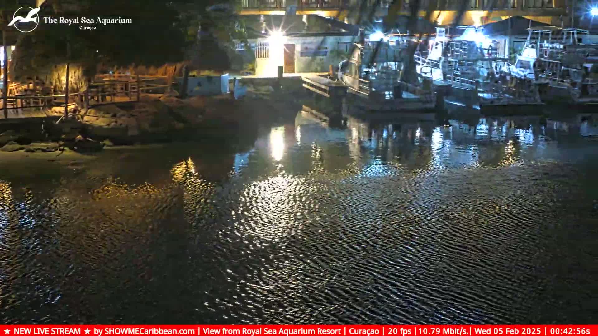 Several boats are moored at a dock at night, with their reflections visible in the gently rippling water.