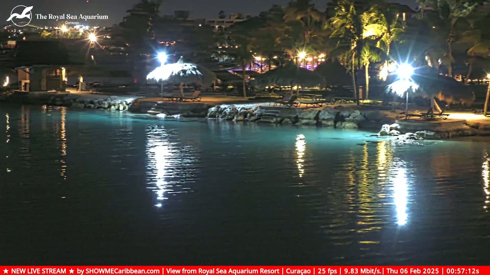 A nighttime view of a calm body of water illuminated by lights, reflecting off the surface near a shoreline with palm trees and thatched-roof structures.