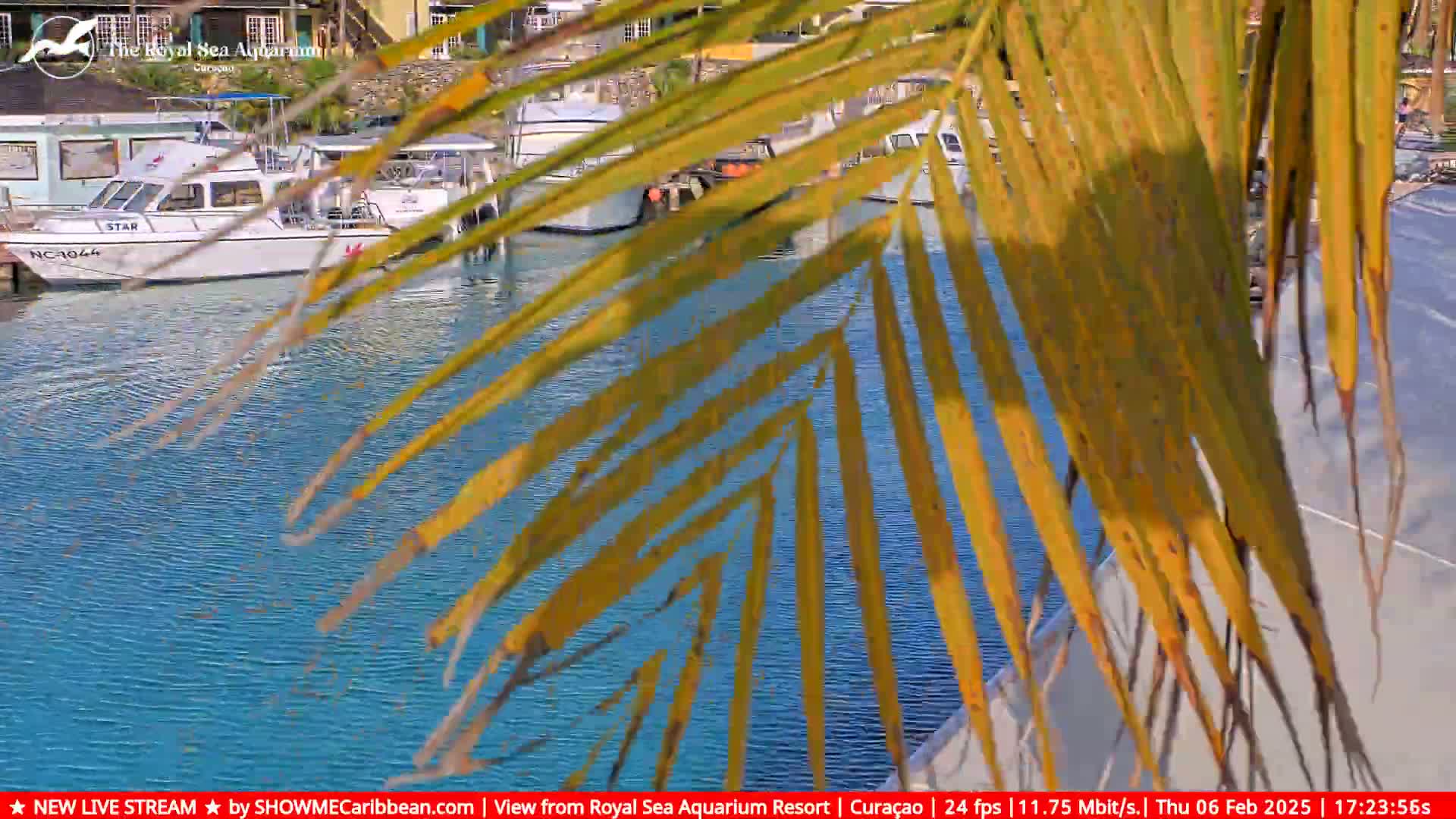 Willemstad, The Royal Sea Aquarium Resort Beach Live Cam - Willemstad, Curacao, Netherland 