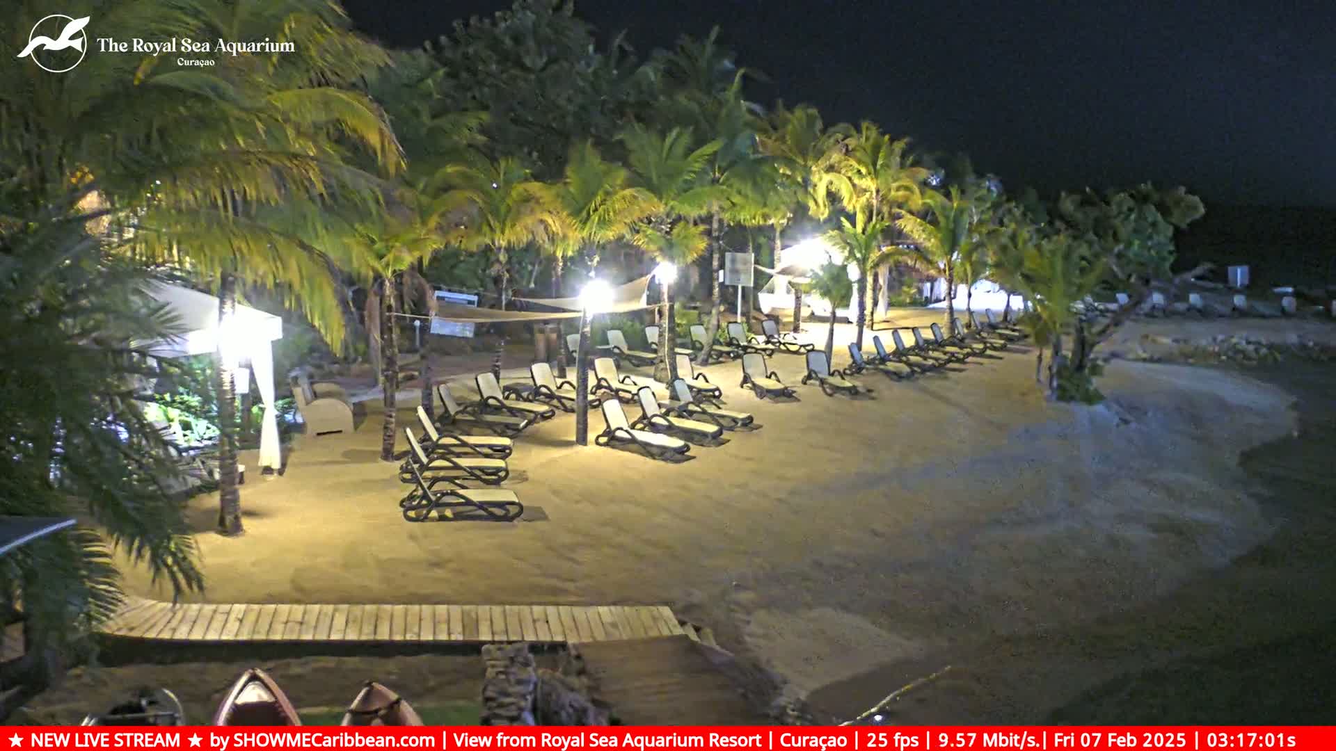 A sandy beach at night, lined with empty lounge chairs under palm trees, is illuminated by artificial lighting.