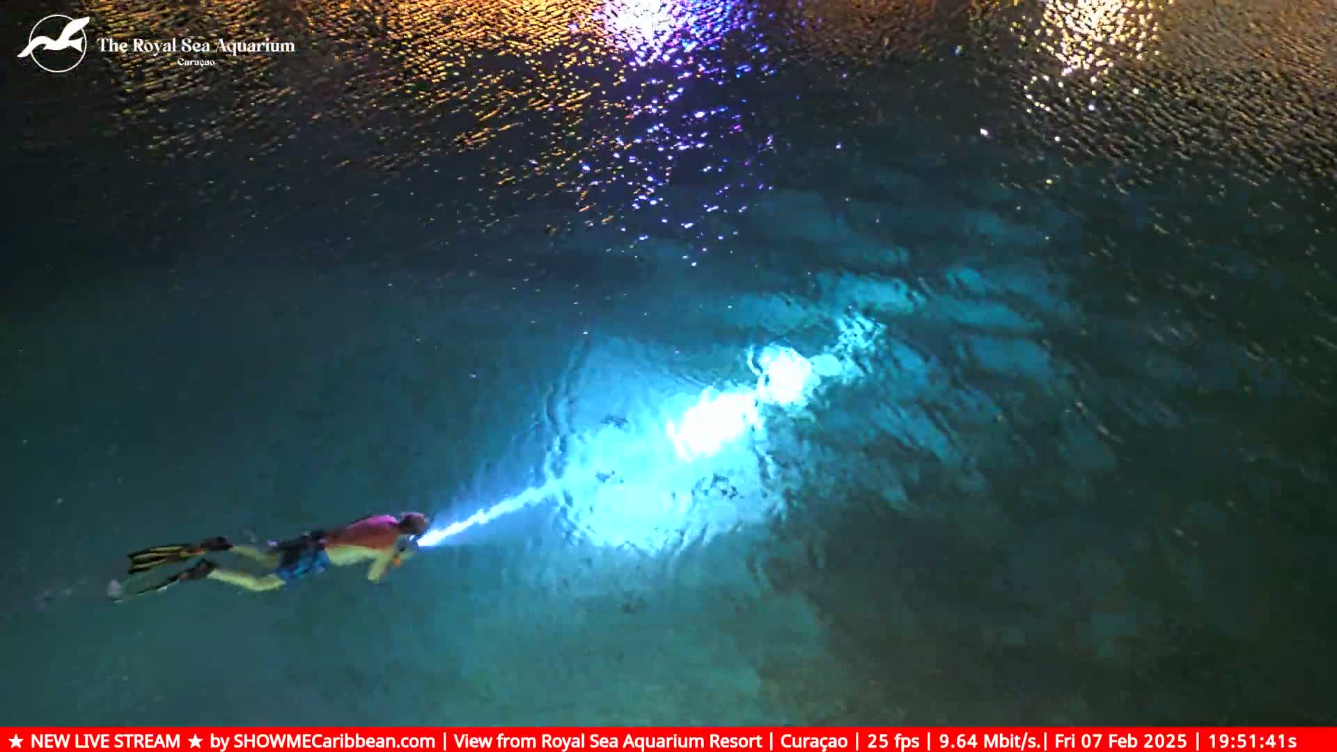 An overhead view shows a person snorkeling at night in dark, slightly rippled water illuminated by an underwater light.