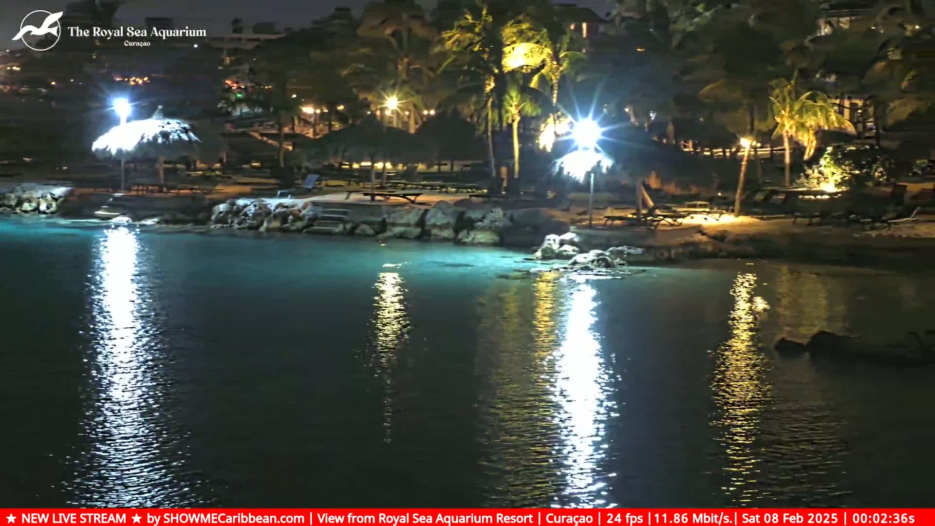 A nighttime view of a calm, illuminated body of water next to a tropical shore with palm trees and outdoor seating under thatched umbrellas.