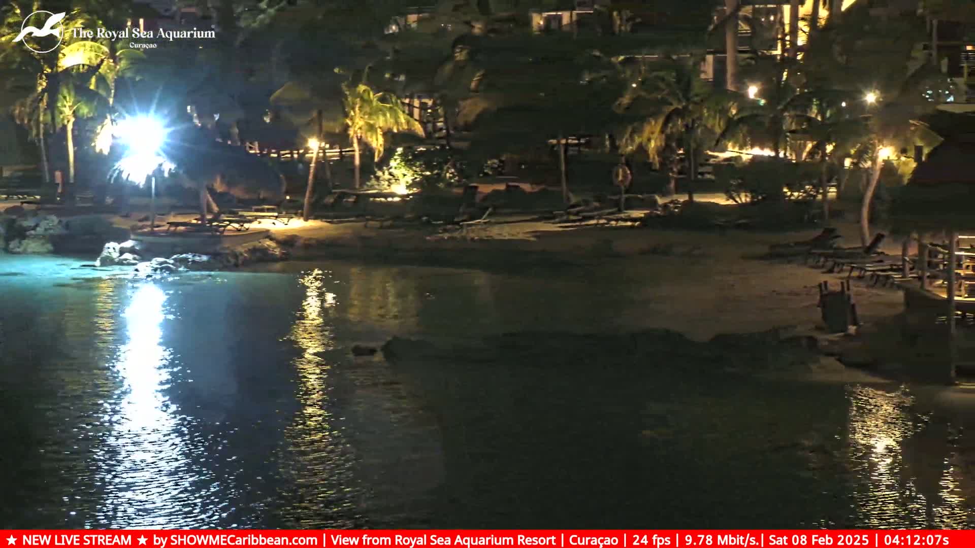 A nighttime view of a calm body of water next to a beach with palm trees and lounge chairs under soft lighting.
