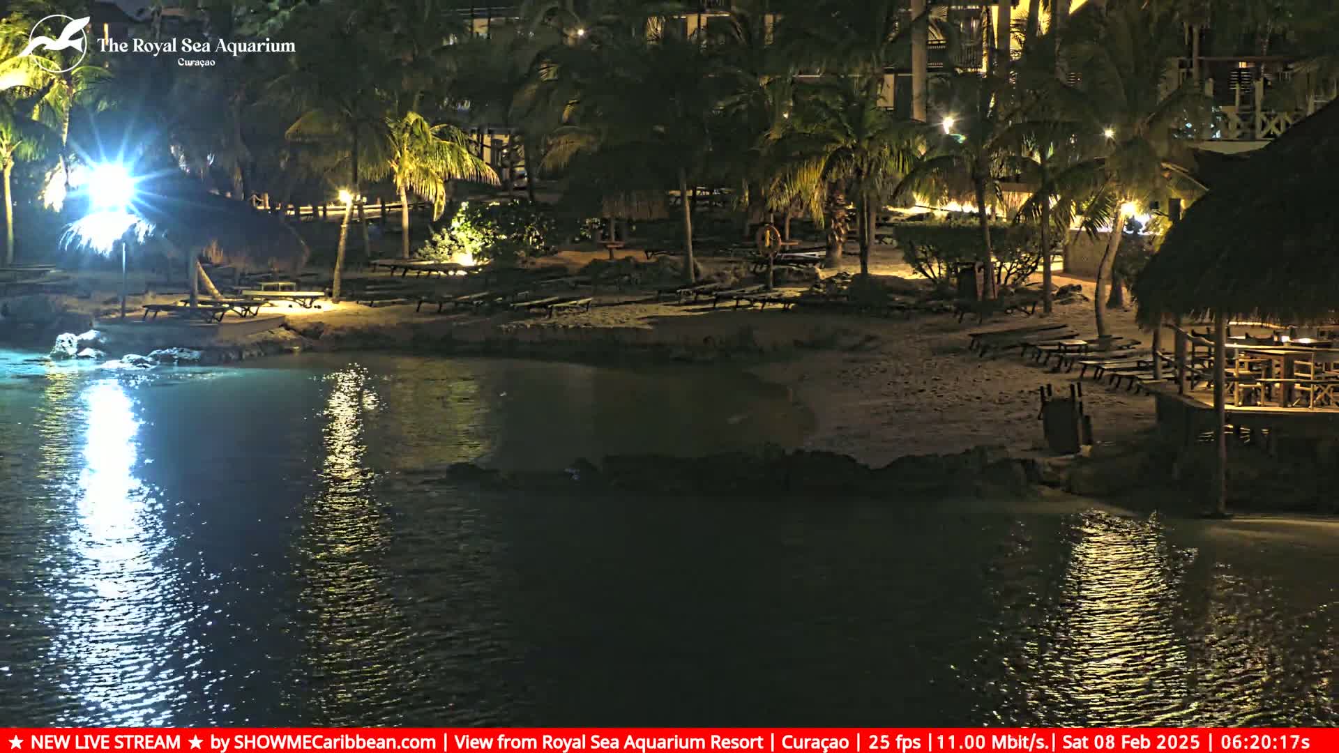 A nighttime view of a beach with palm trees, picnic tables, and thatch-roofed structures, illuminated by lights, reflecting on calm water.