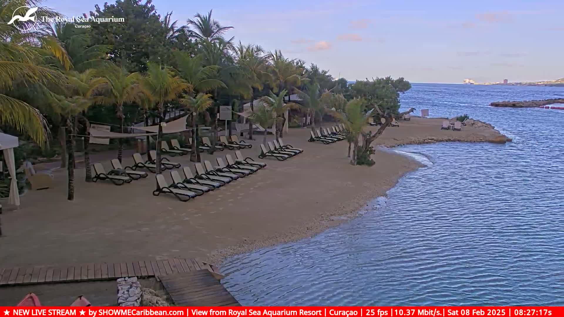 A sandy beach with lounge chairs under palm trees, adjacent to calm water, is seen on a partly cloudy day.