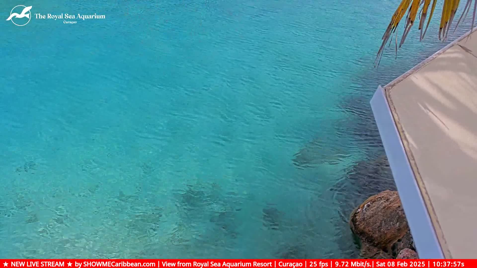 Clear, turquoise water is visible from a high angle, showing a portion of a light-colored dock and a dark rock near the water's edge.