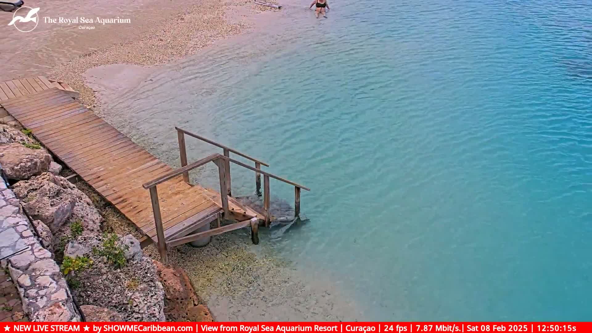 A wooden dock with steps leads down into calm, clear turquoise water next to a sandy beach.