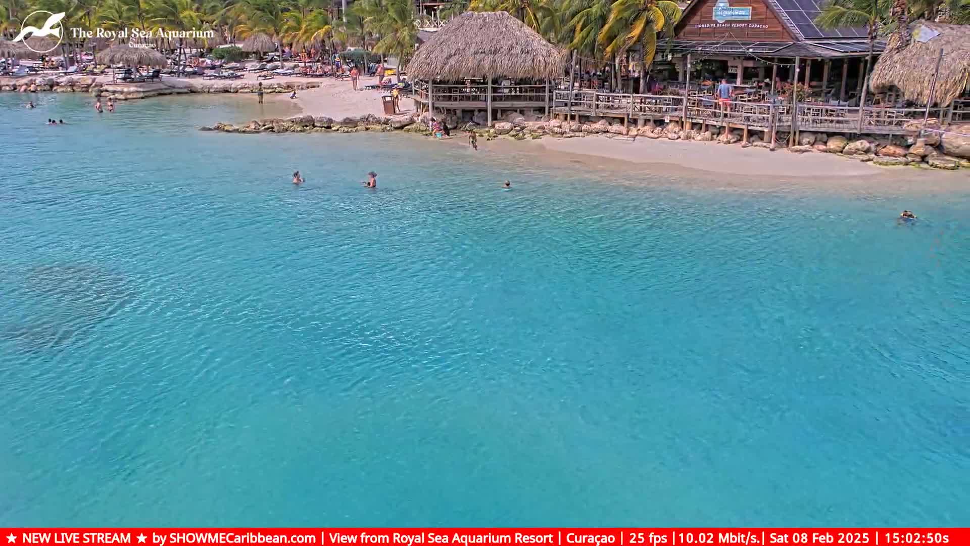 A beach with turquoise water, a thatched-roof bar, and several people swimming and relaxing.
