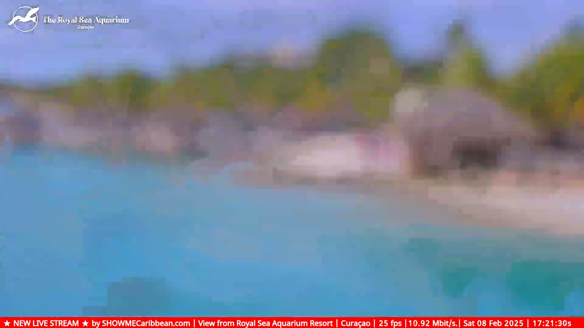 A blurry image shows a tropical beach scene with turquoise water and a thatched roof structure, under a mostly clear sky.