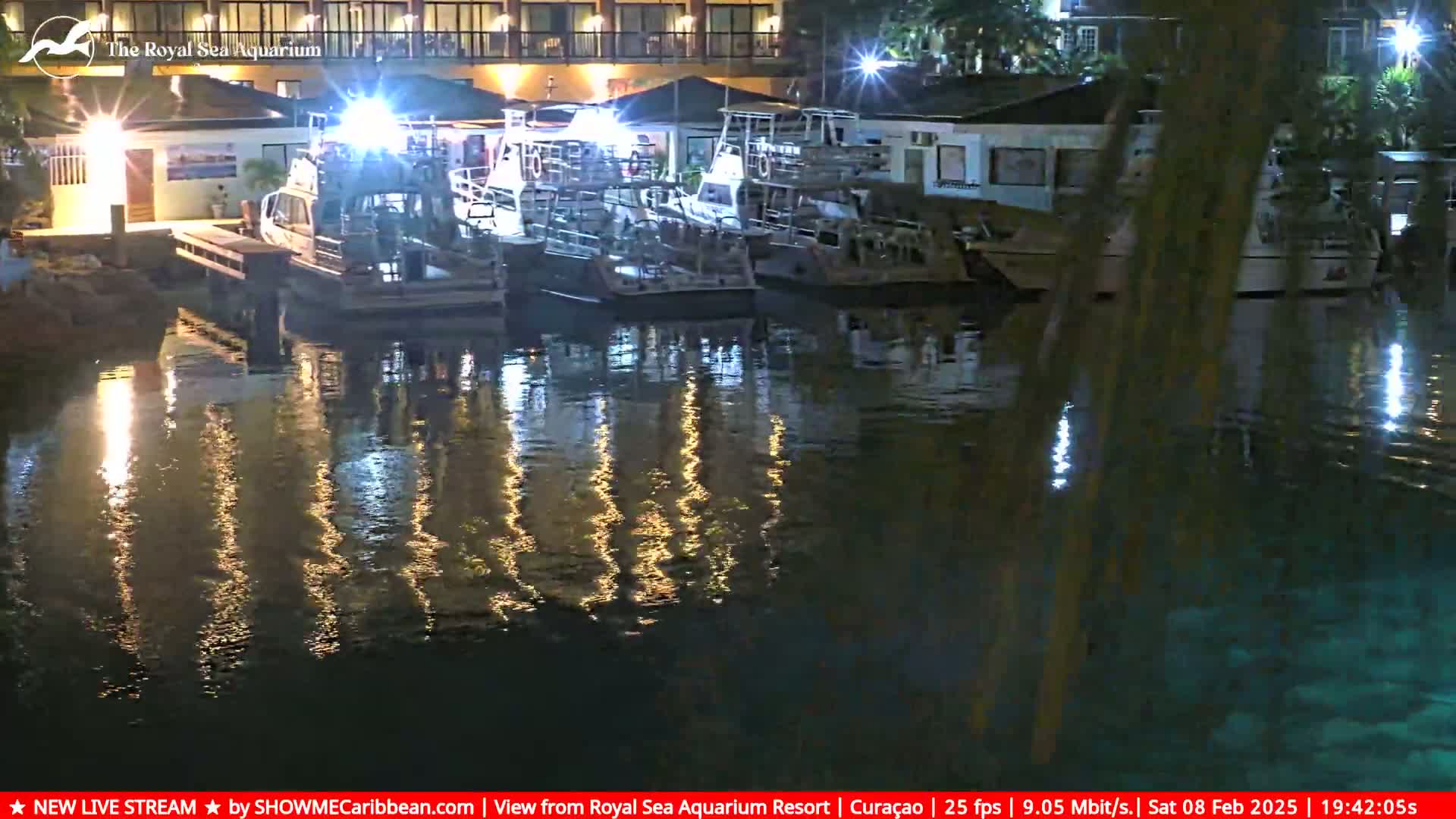 Several boats are moored at a dock at night, their lights reflecting on the calm water.