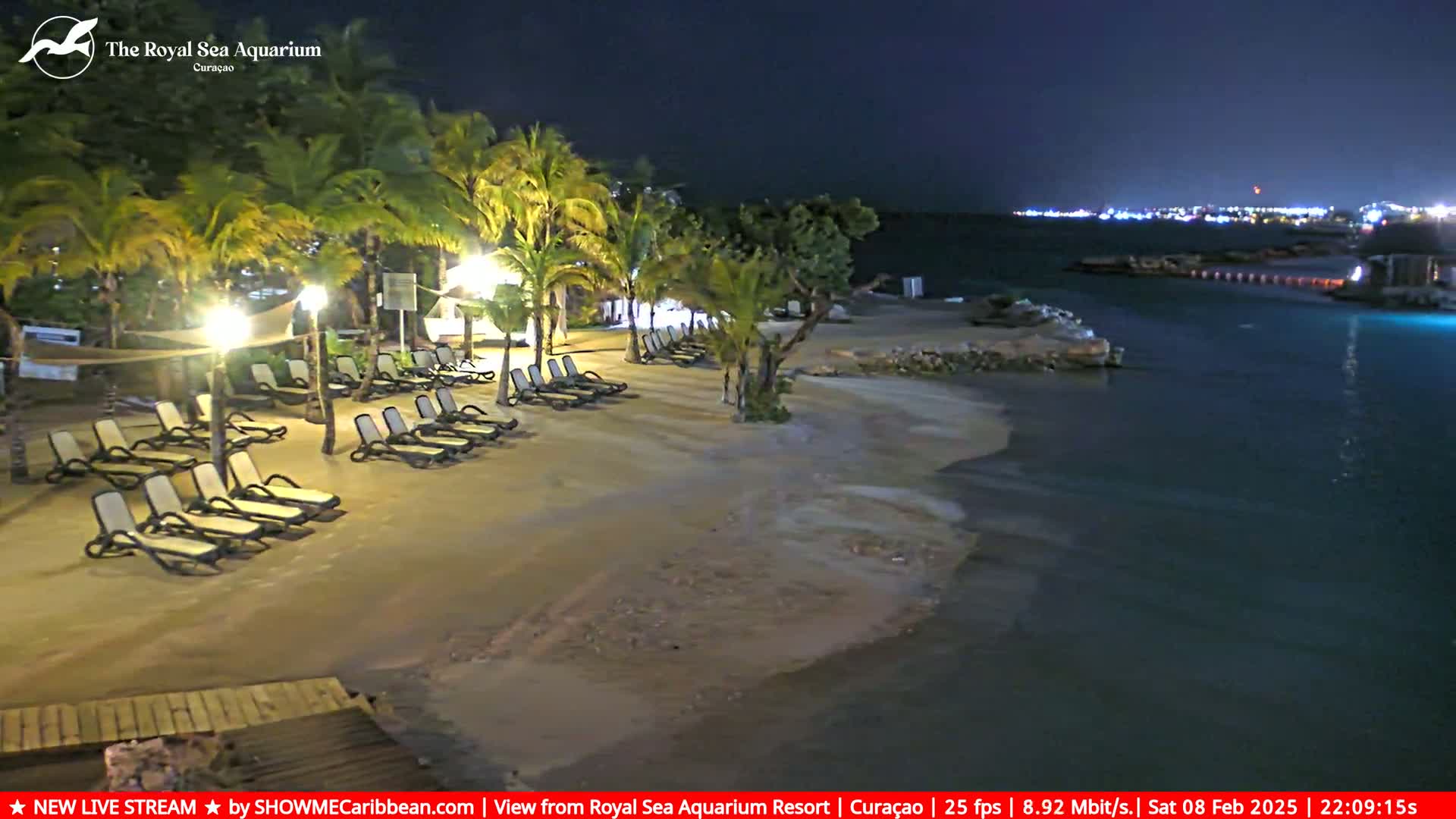 Empty lounge chairs sit on a sandy beach at night, illuminated by artificial lights, next to calm, dark water with a distant, faintly lit cityscape.