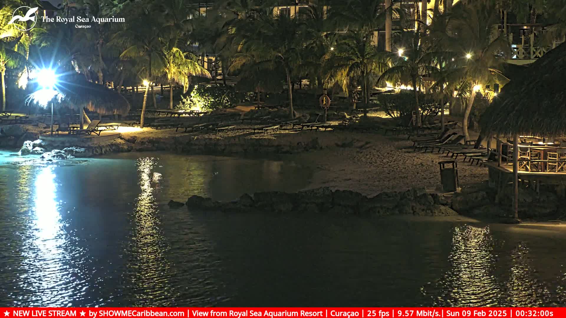 A nighttime view of a sandy beach with palm trees, lounge chairs, and thatched-roof structures, illuminated by artificial lights, bordering calm, dark water.