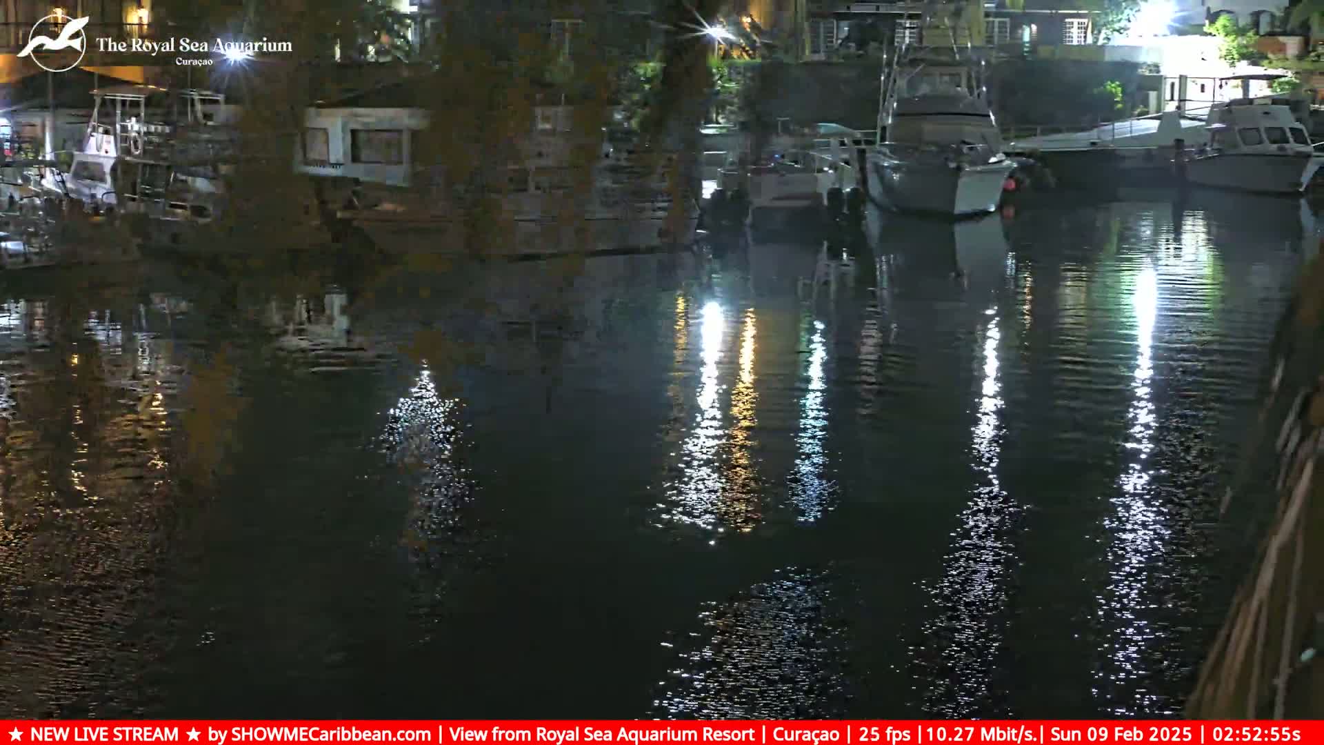 Several boats are moored at a dock at night, their reflections shimmering on the dark water.