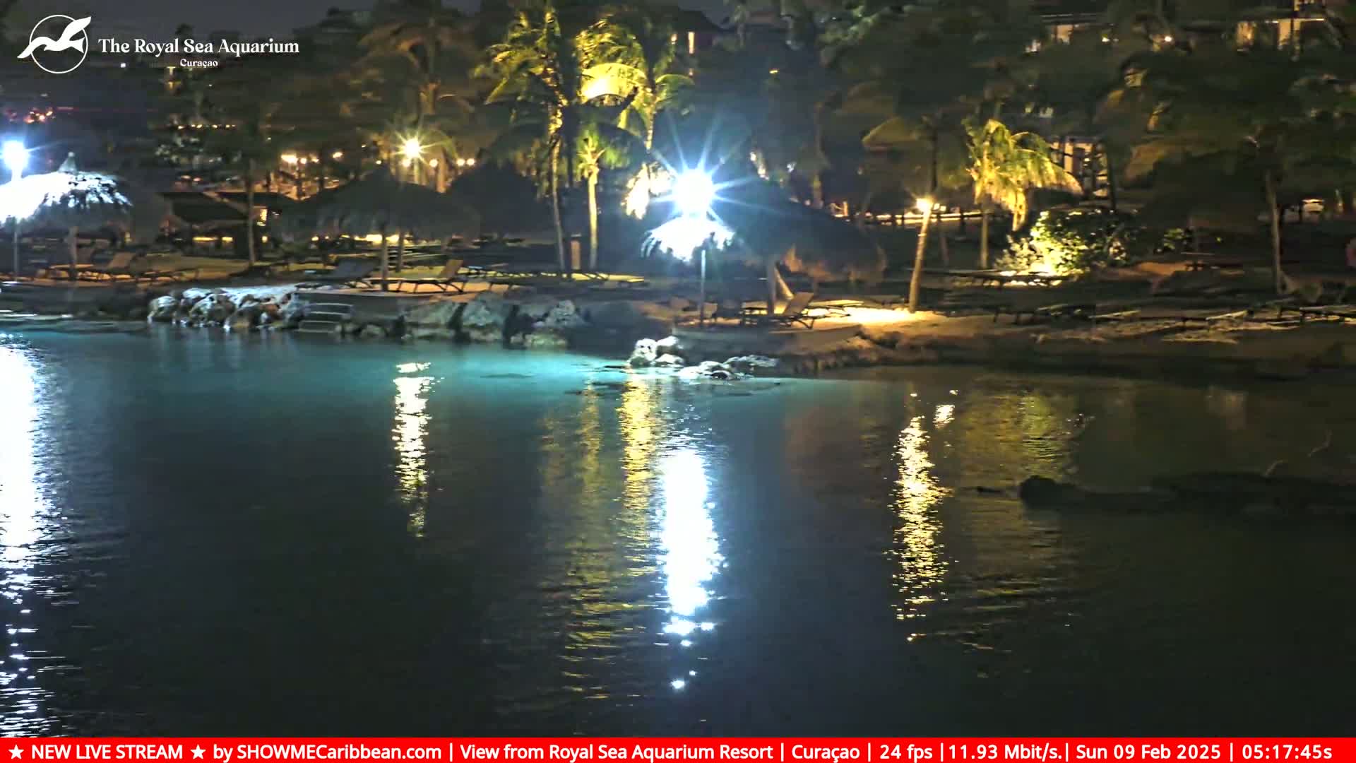 Calm, illuminated nighttime water reflects the lights of a palm-tree lined shore with outdoor seating.