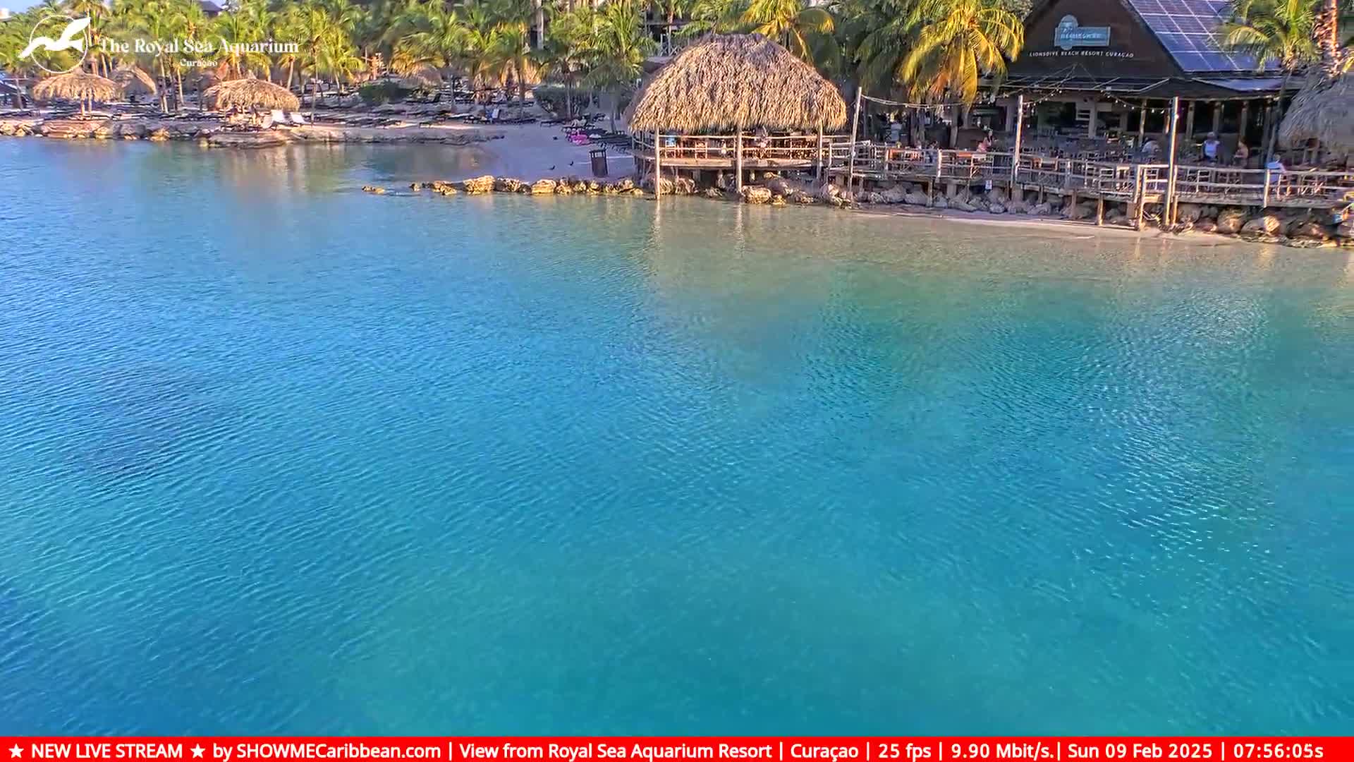 A beachside bar with thatched roofs and a deck sits next to a calm, turquoise body of water under a sunny sky.