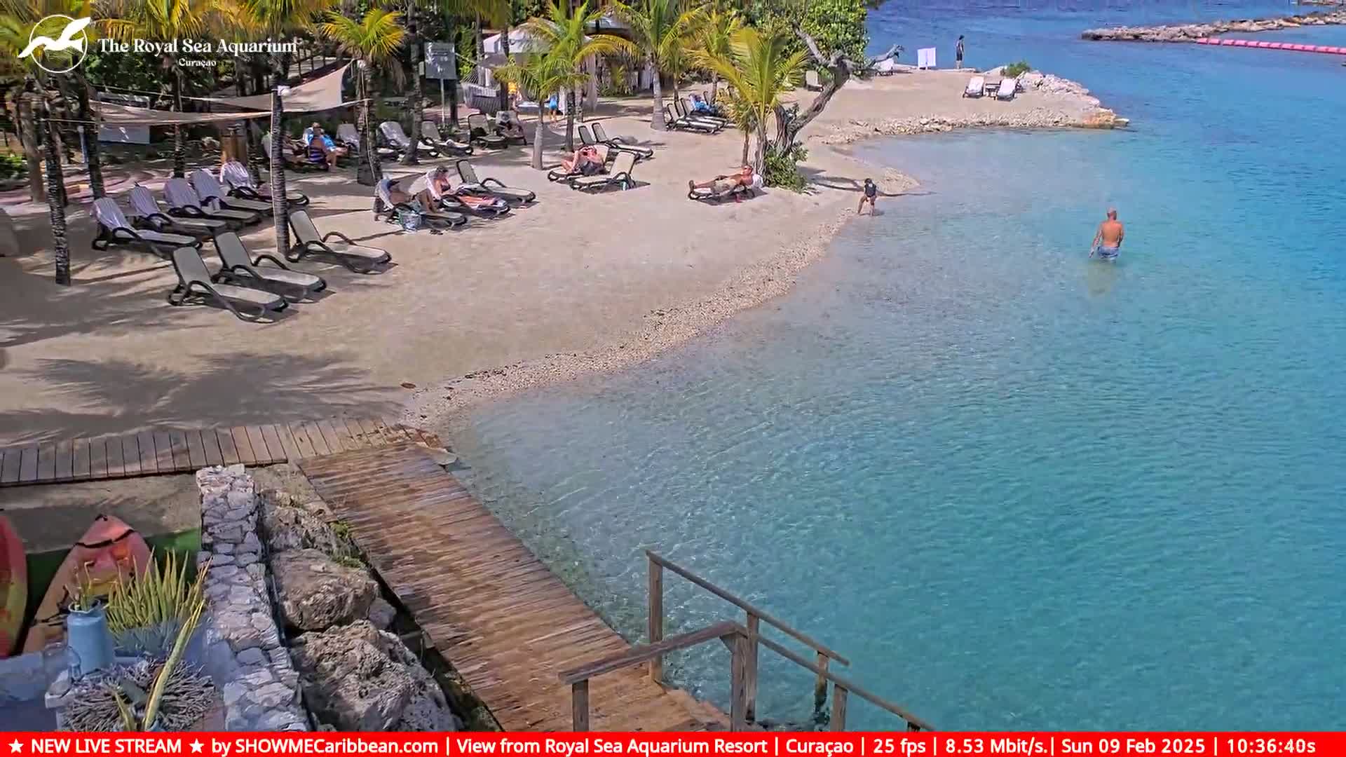 A sandy beach with lounge chairs and a few people relaxing, next to clear turquoise water with a wooden dock extending into it, on a sunny day.