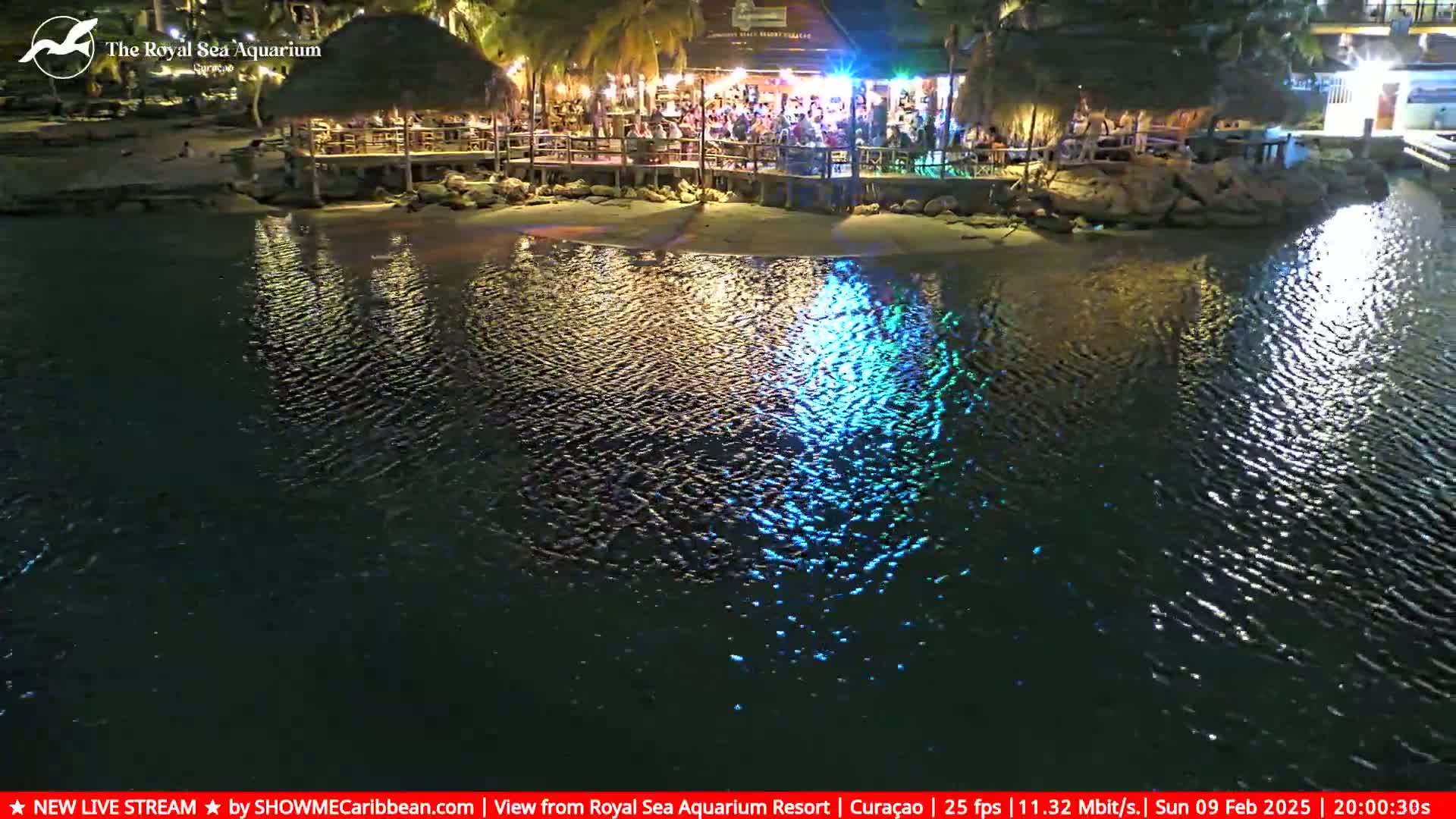 A nighttime view of a brightly lit waterfront restaurant with many people dining outdoors, reflected in the calm water.