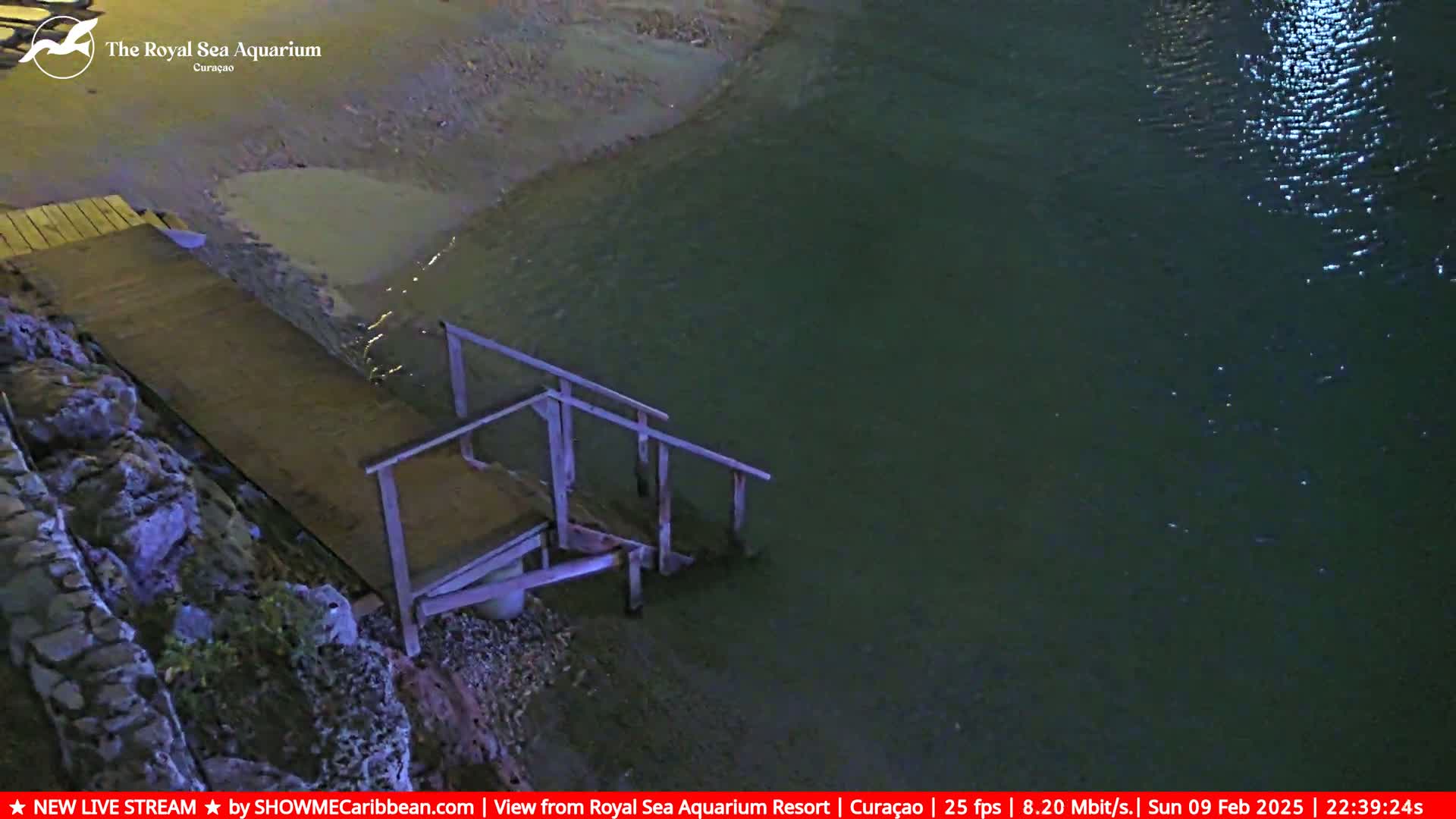 A wooden dock with stairs leads down to dark, calm water at night.