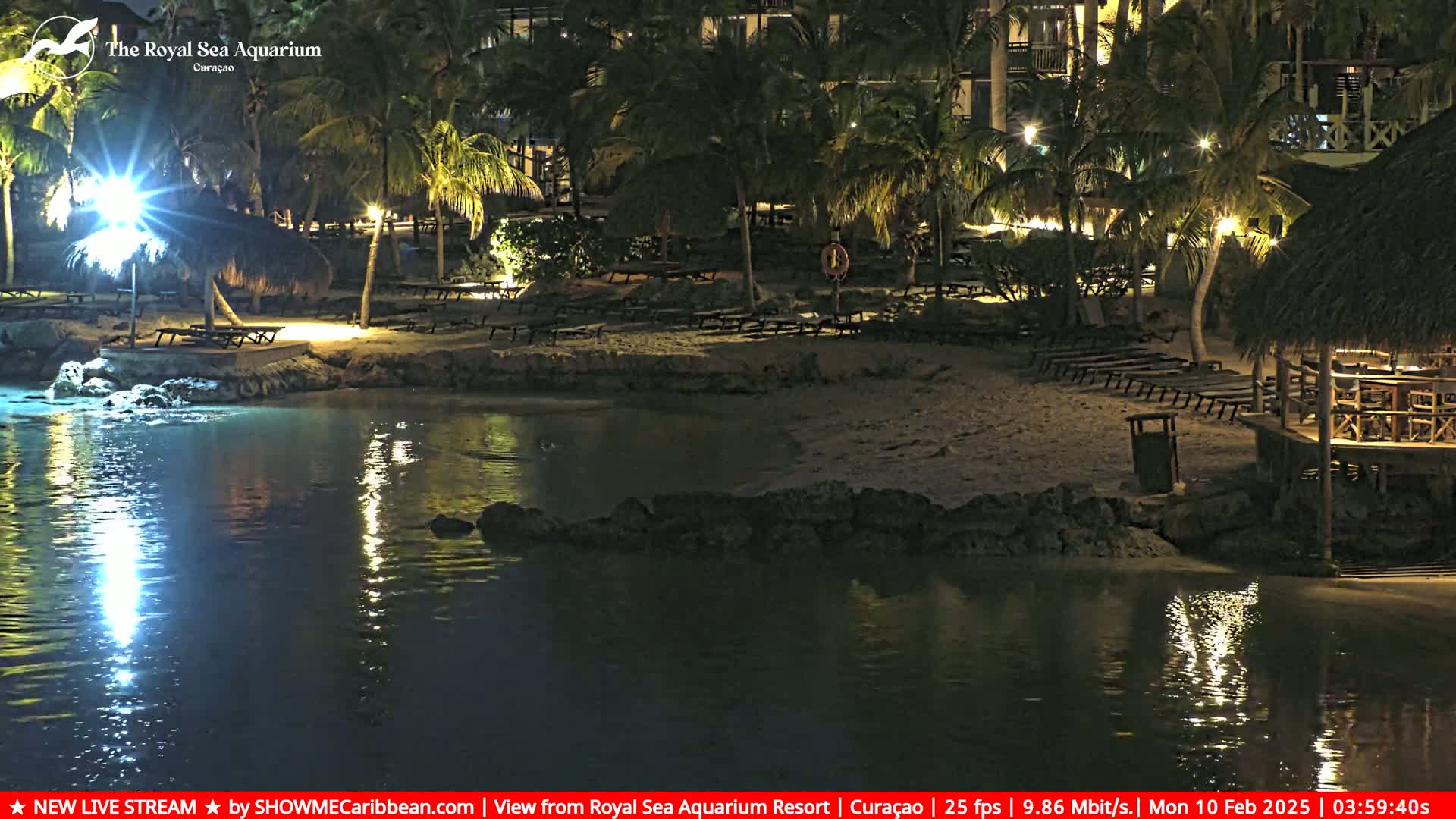 A nighttime beach scene shows calm water reflecting lights, and a sandy shore lined with lounge chairs under palm trees near a resort.