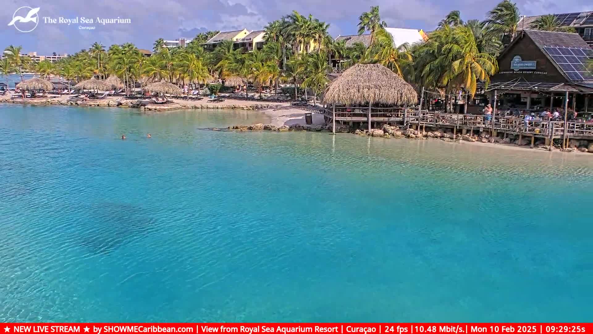 A beach with turquoise water, palm trees, and beachfront buildings under a mostly sunny sky.