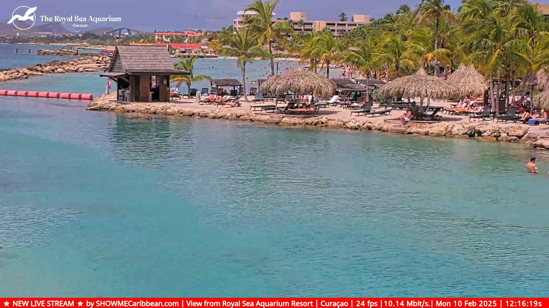 A tranquil beach scene with turquoise water, palm trees, thatched-roof umbrellas, and people relaxing on a sunny day.