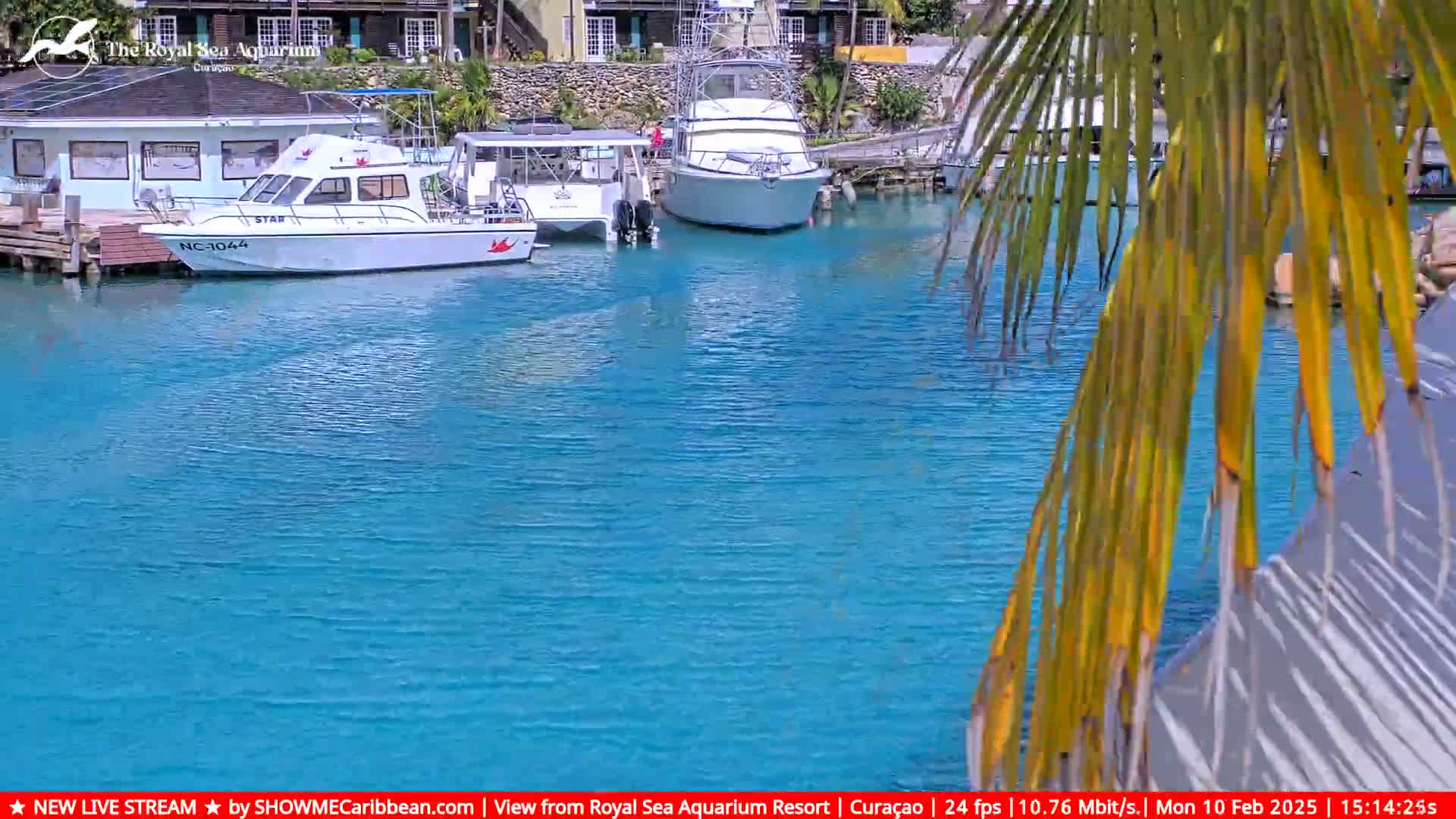 Several boats are docked in a calm, turquoise body of water, partially obscured by palm fronds.