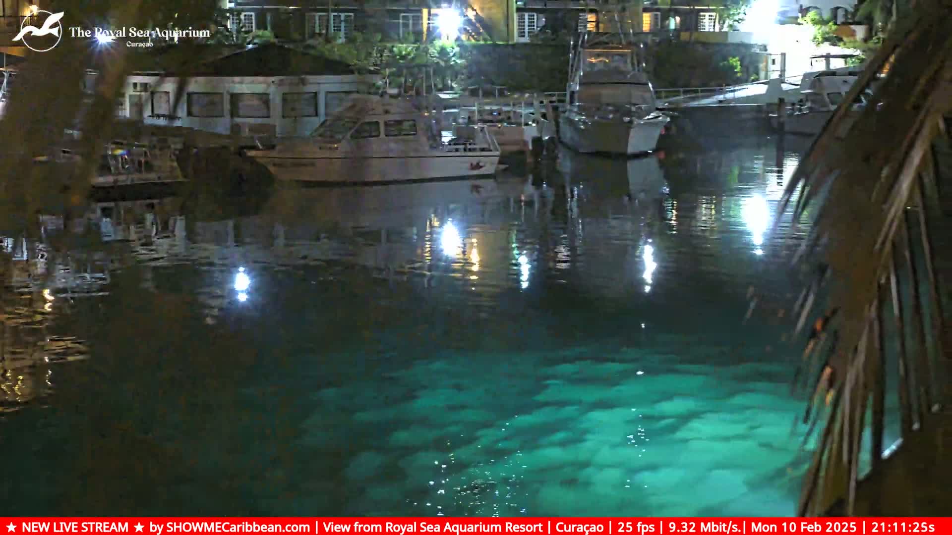 Several boats are moored in a calm, dark-green body of water at night, illuminated by lights reflecting on the water's surface.