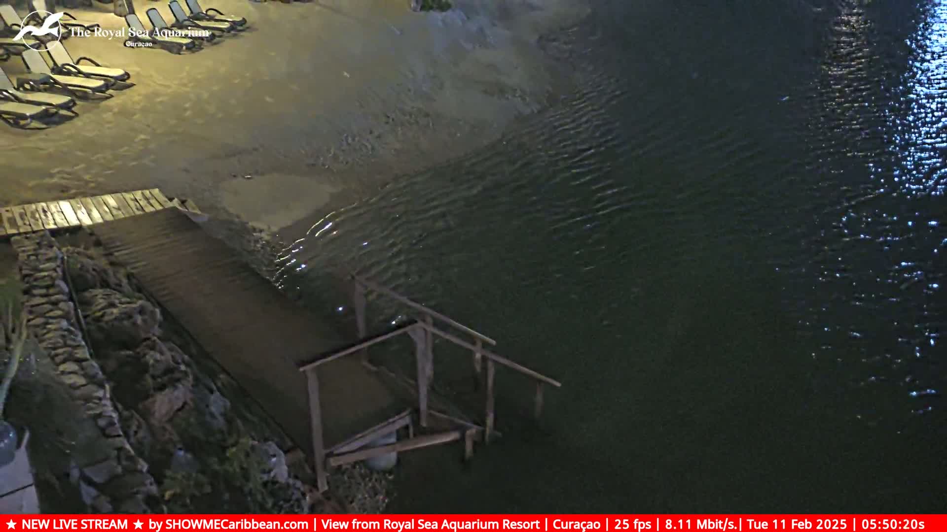 A nighttime aerial view shows a sandy beach with lounge chairs, a wooden ramp leading to dark water with gentle ripples.