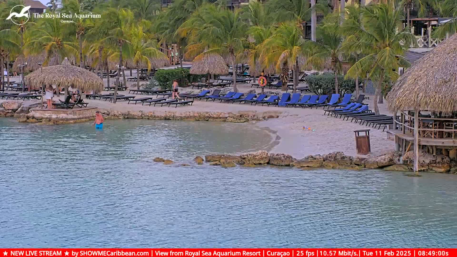 A sandy beach with blue lounge chairs under thatch umbrellas, calm water, and a few people is seen from across the water.