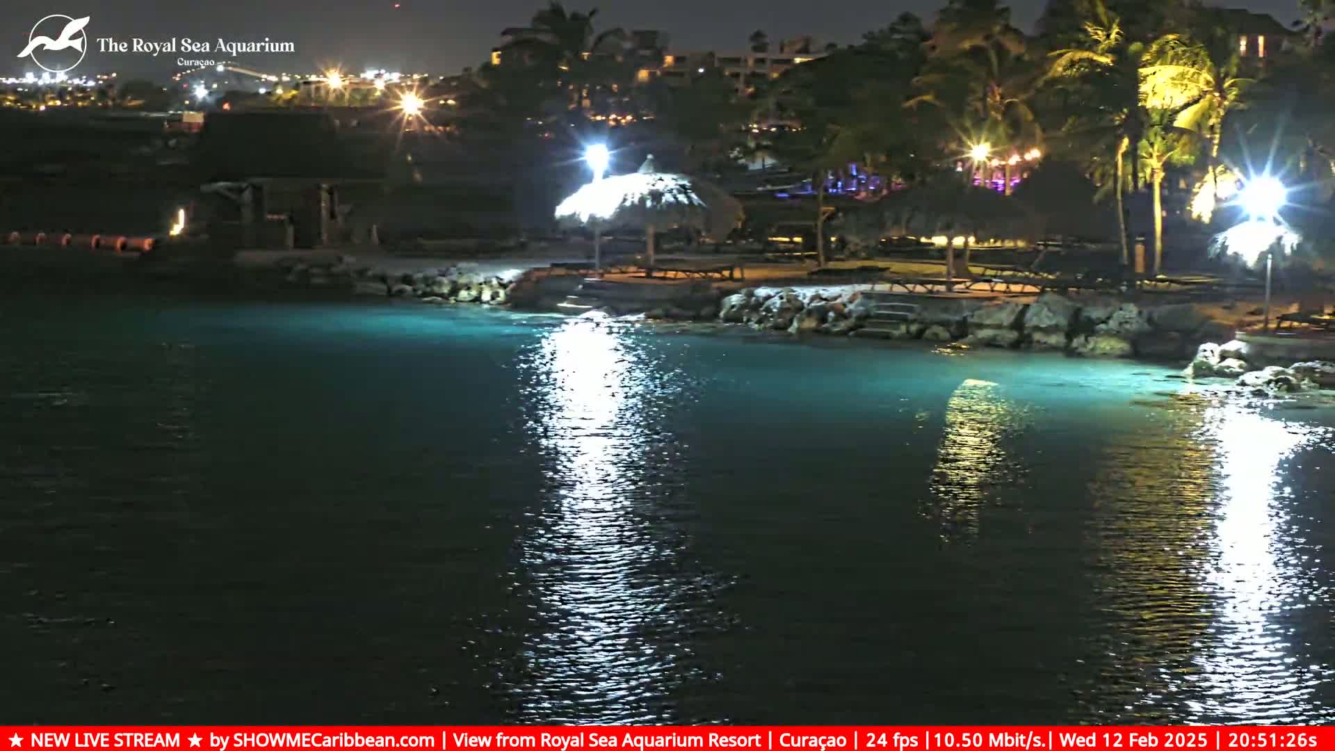 A nighttime view of a calm body of water illuminated by lights near a shoreline with palm trees and a thatched-roof structure.