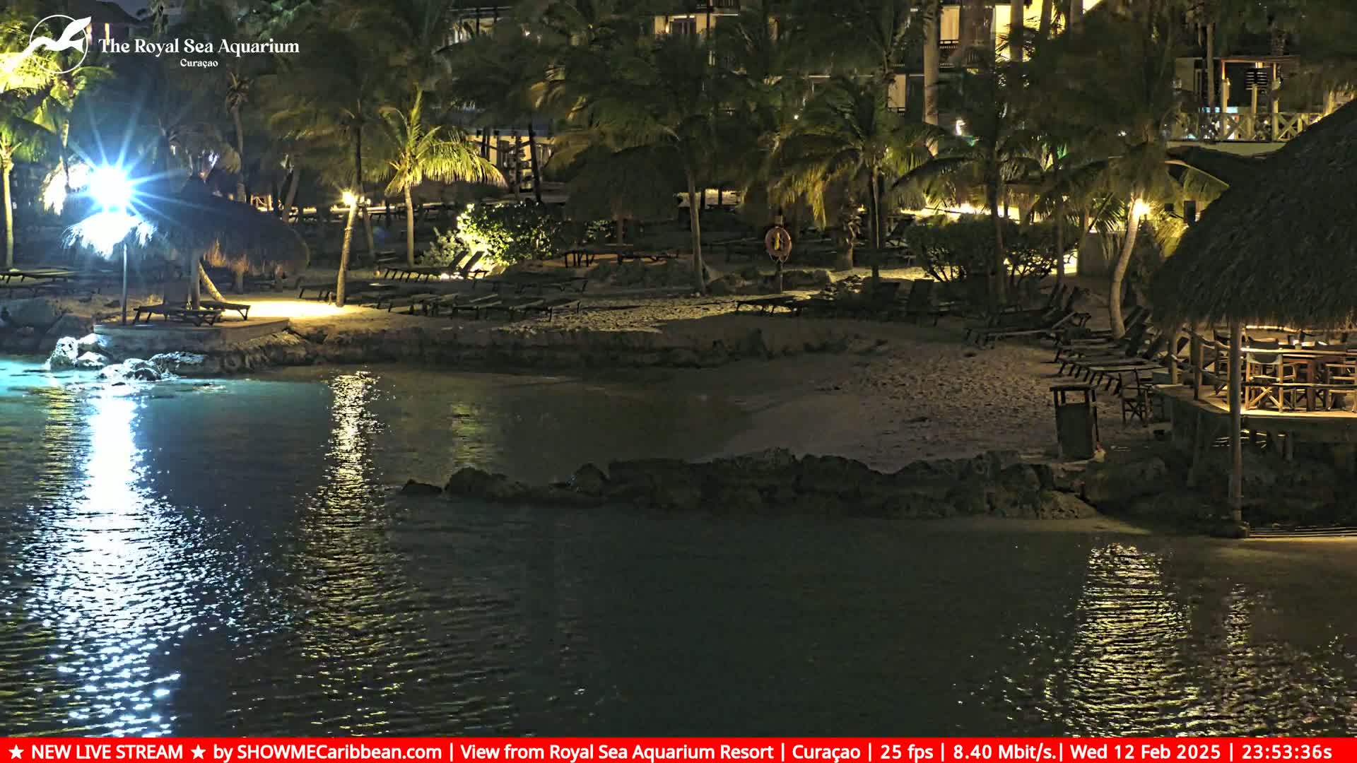 A nighttime view of a calm body of water next to a sandy beach with palm trees, lounge chairs, and thatched-roof structures under soft lighting.