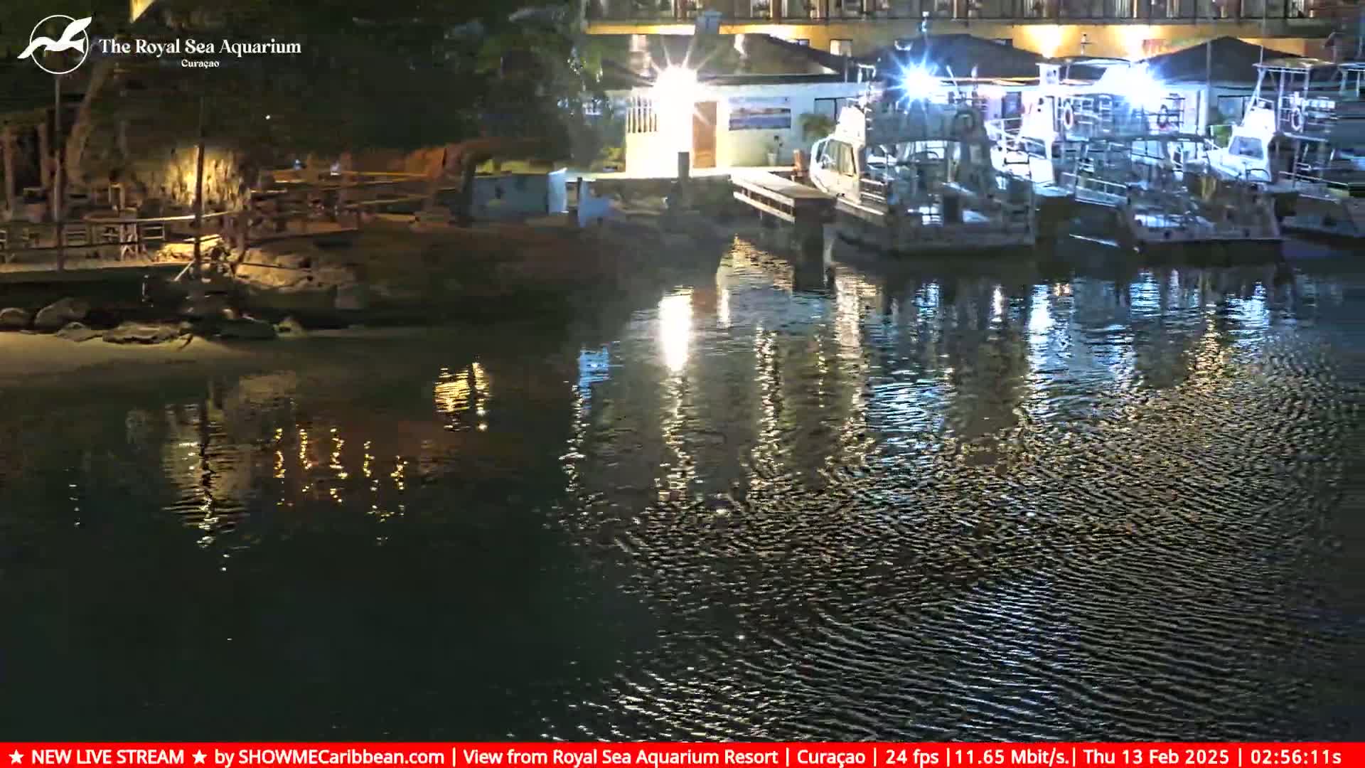 Several boats are docked at a waterfront at night, their reflections shimmering on the calm water.