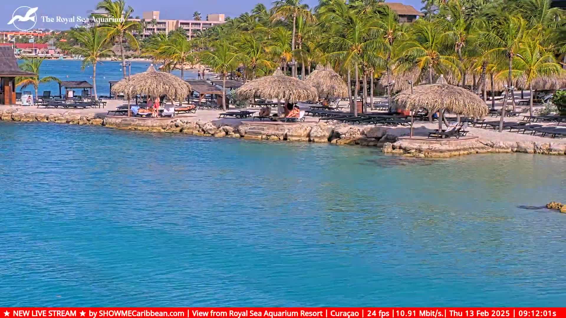A beach with palm trees, thatched umbrellas, and lounge chairs sits beside calm, turquoise water under a sunny sky.