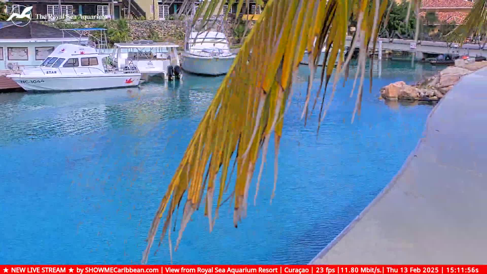 A calm, blue body of water with several boats docked nearby, partially obscured by a palm frond.