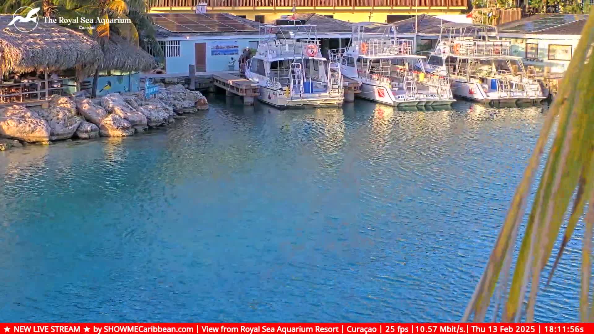 Several boats are docked at a marina with calm, blue water, next to a building with a thatched roof.