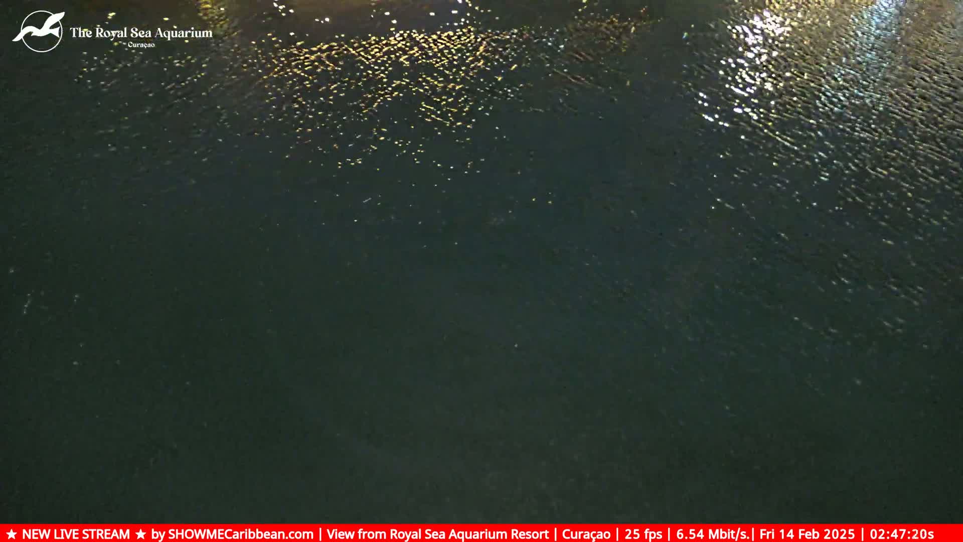 A dark body of water at night is gently rippled, reflecting small points of light.