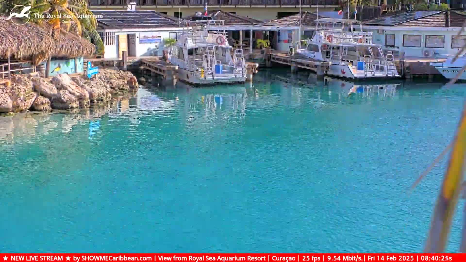Several boats are docked at a marina with calm, clear turquoise water under a sunny sky.