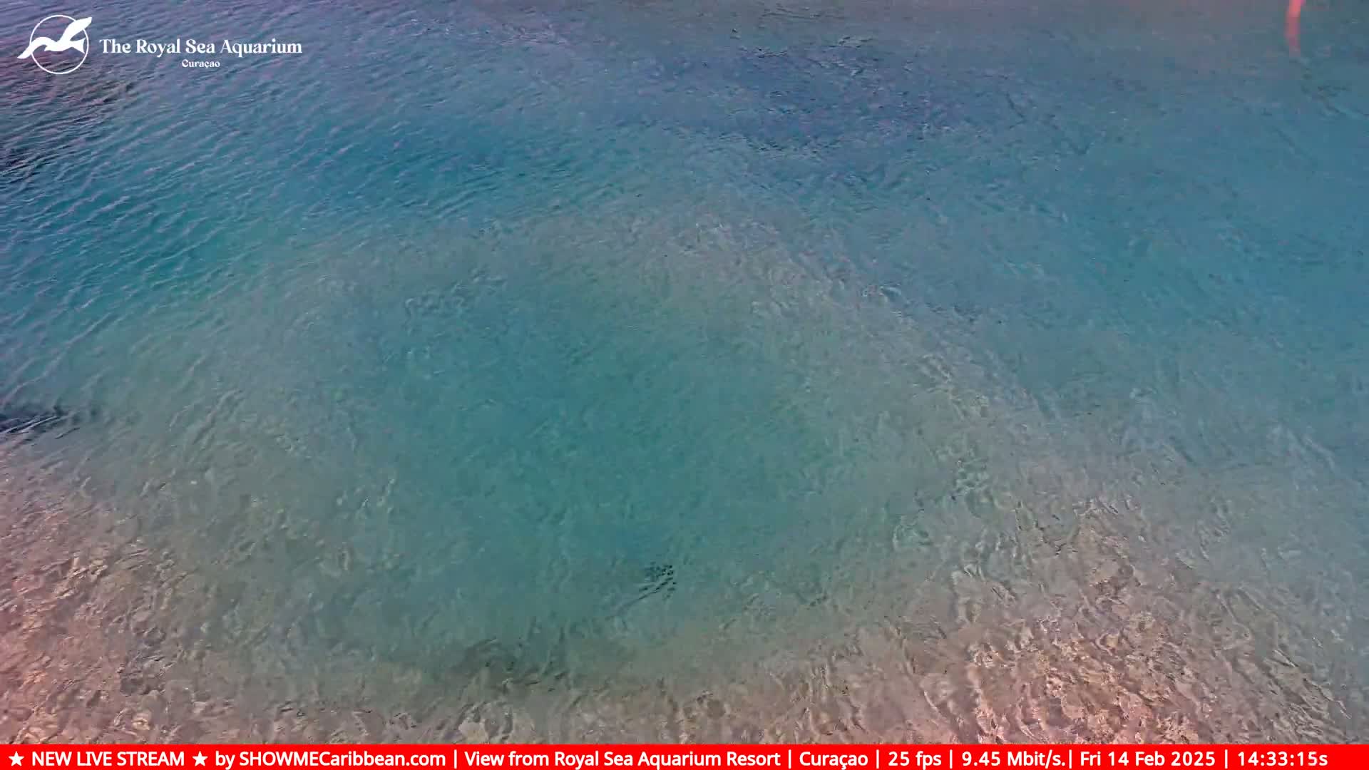 Clear, shallow turquoise water ripples gently.