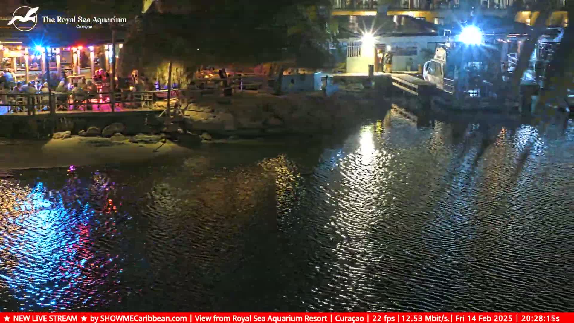A nighttime scene shows a waterfront restaurant with patrons seated outdoors, illuminated by colorful lights, next to a calm body of water with reflections of lights on its surface.