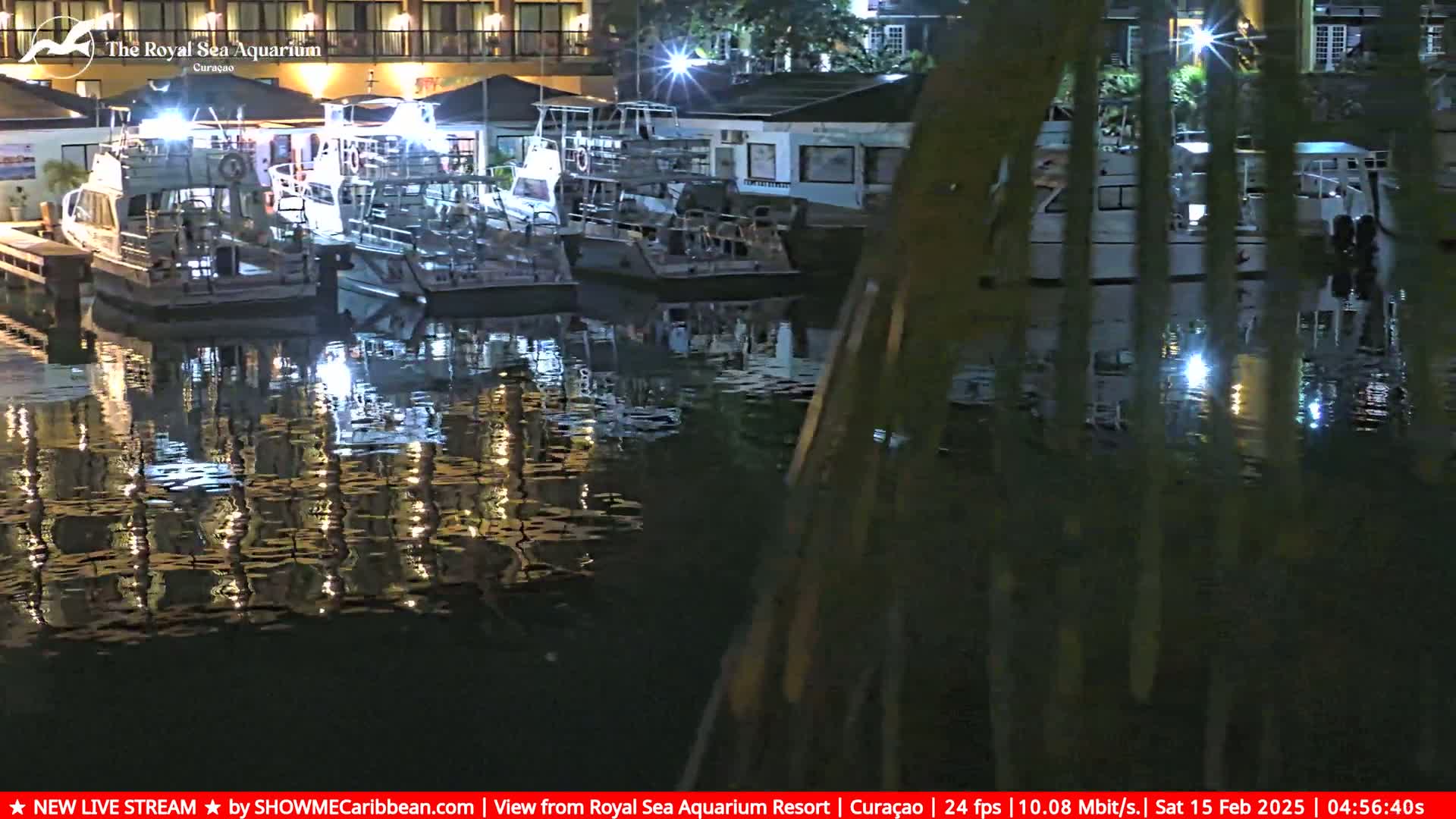 Several boats are moored at a dock at night, their reflections shimmering on the calm water.
