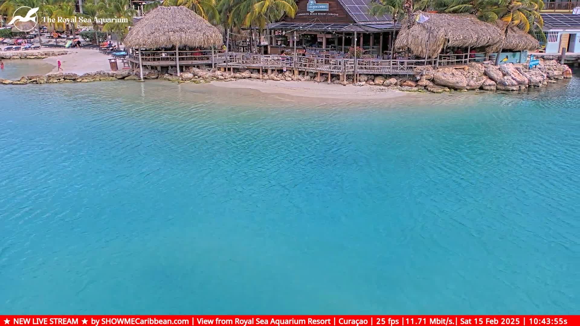 A beach bar with thatched roofs sits on a sandy shore next to calm, turquoise water.