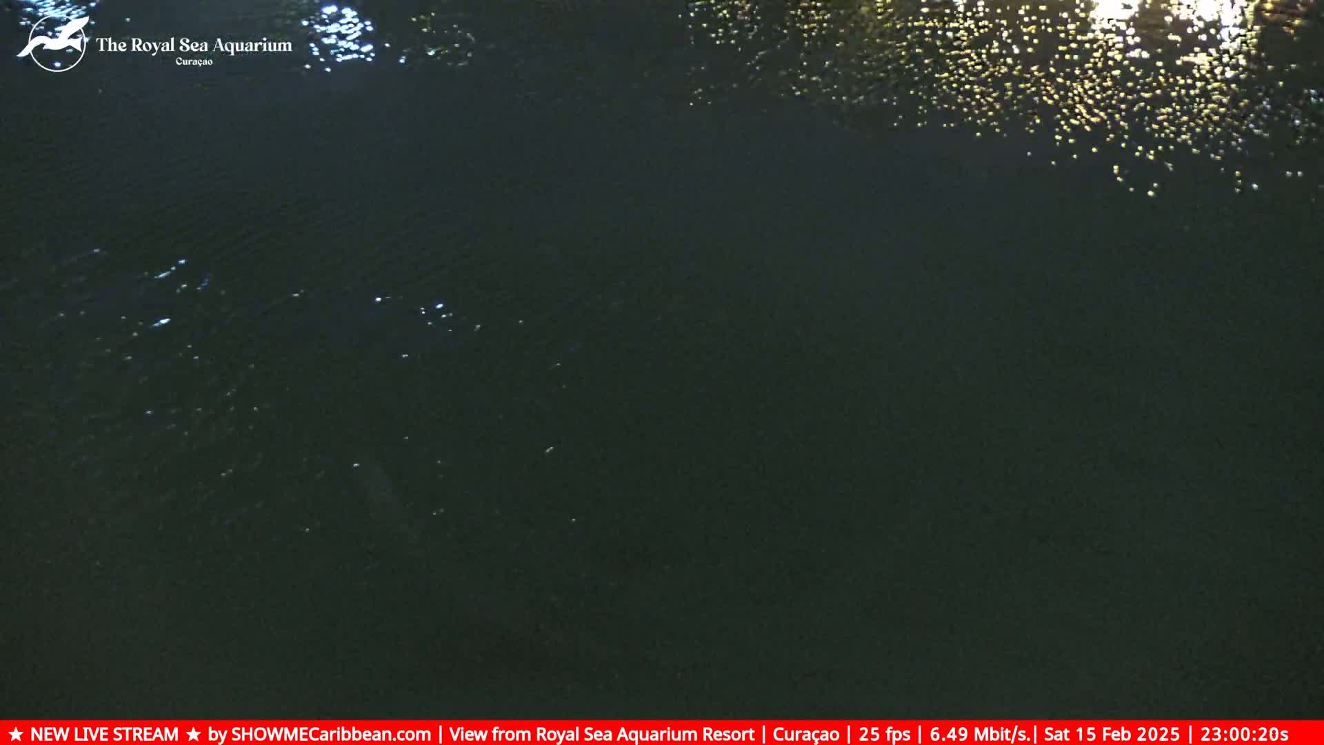 A dark body of water at night with small, bright lights reflecting on its surface.