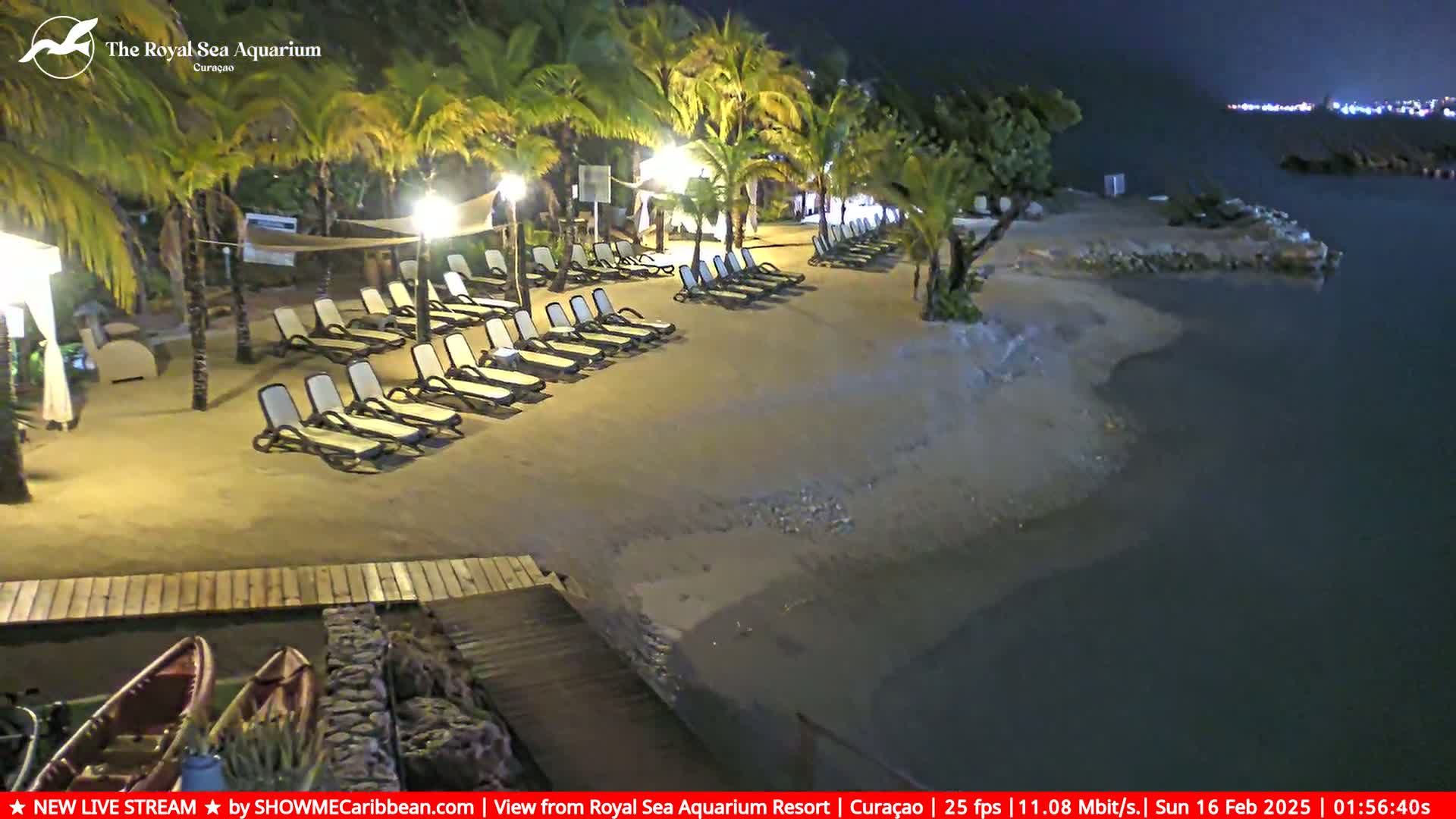 A nighttime beach scene shows empty lounge chairs on a sandy shore, palm trees, and calm dark water.