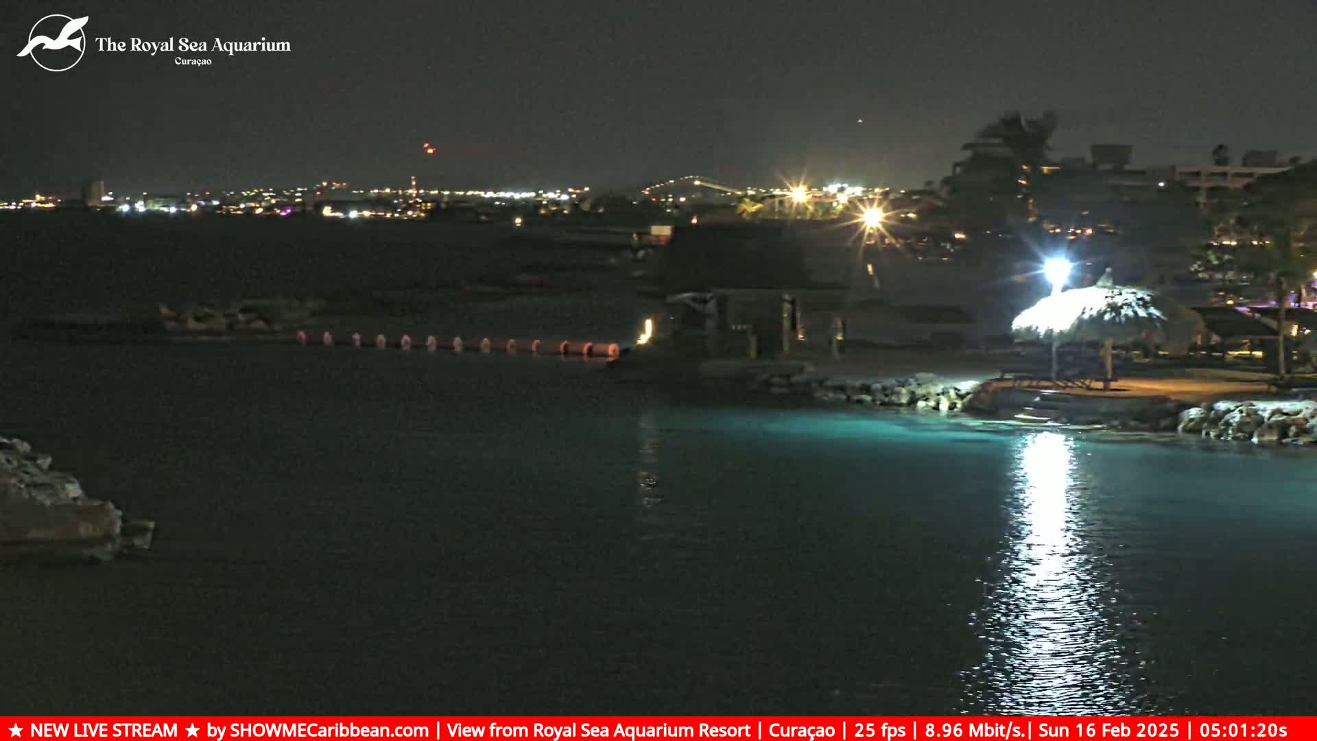 A nighttime view of a calm body of water with illuminated structures and a city skyline in the background.