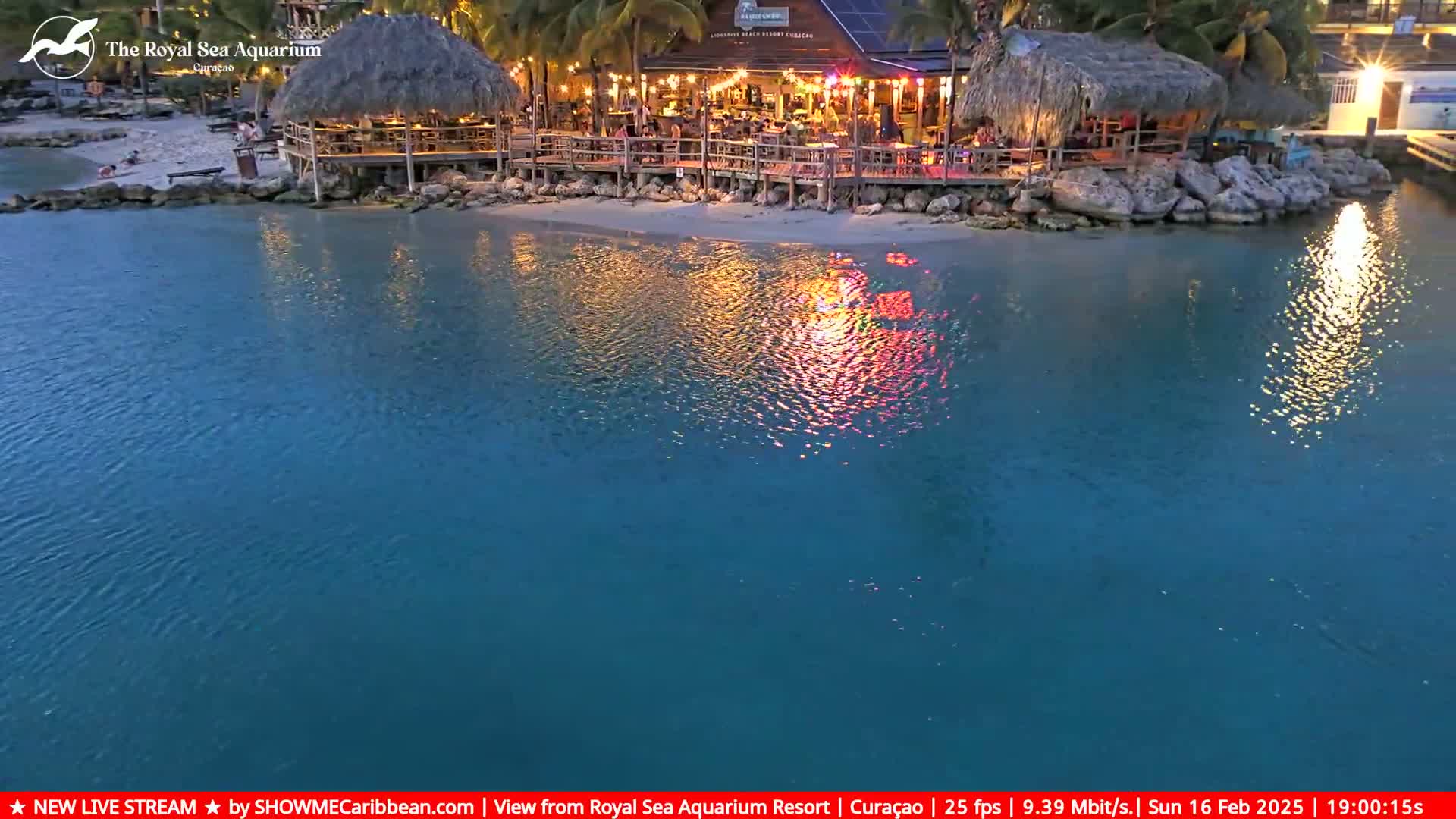 An illuminated beachfront bar and restaurant sits on a calm, teal body of water at twilight.