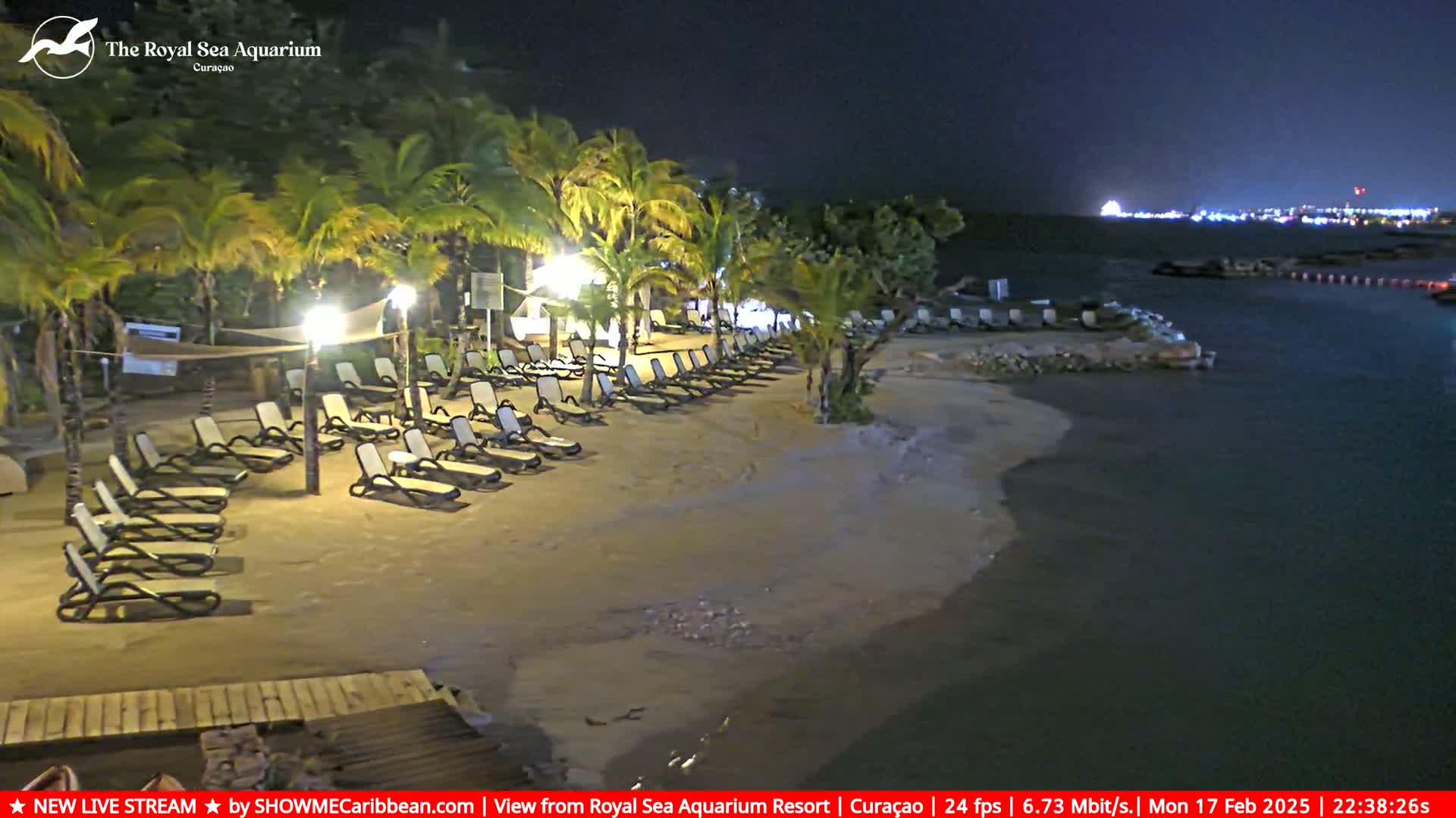 Empty lounge chairs line a sandy beach at night, illuminated by lights under palm trees, with calm water and distant lights visible across the bay.