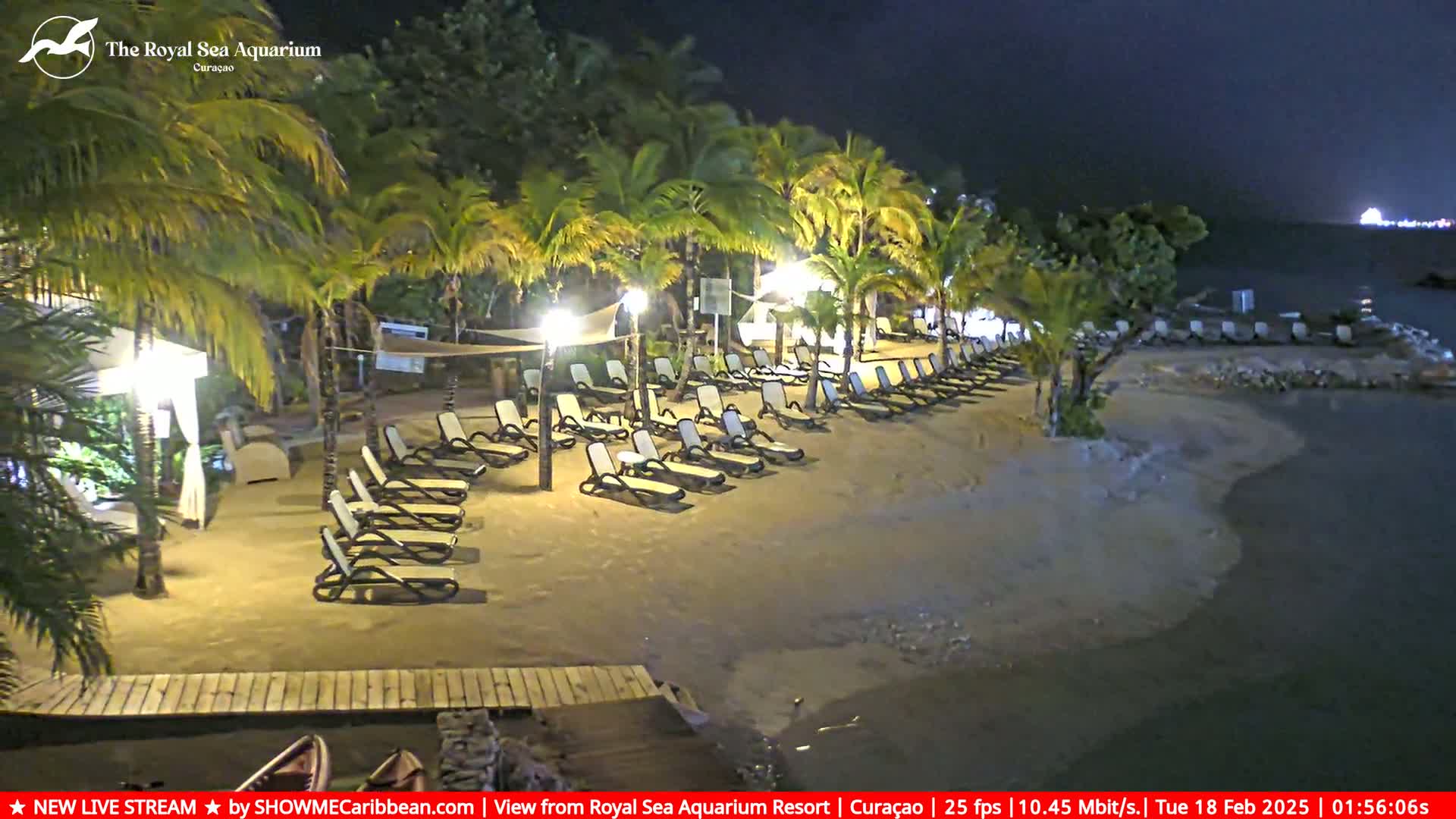 A nighttime beach scene shows empty lounge chairs under palm trees next to a calm body of water.