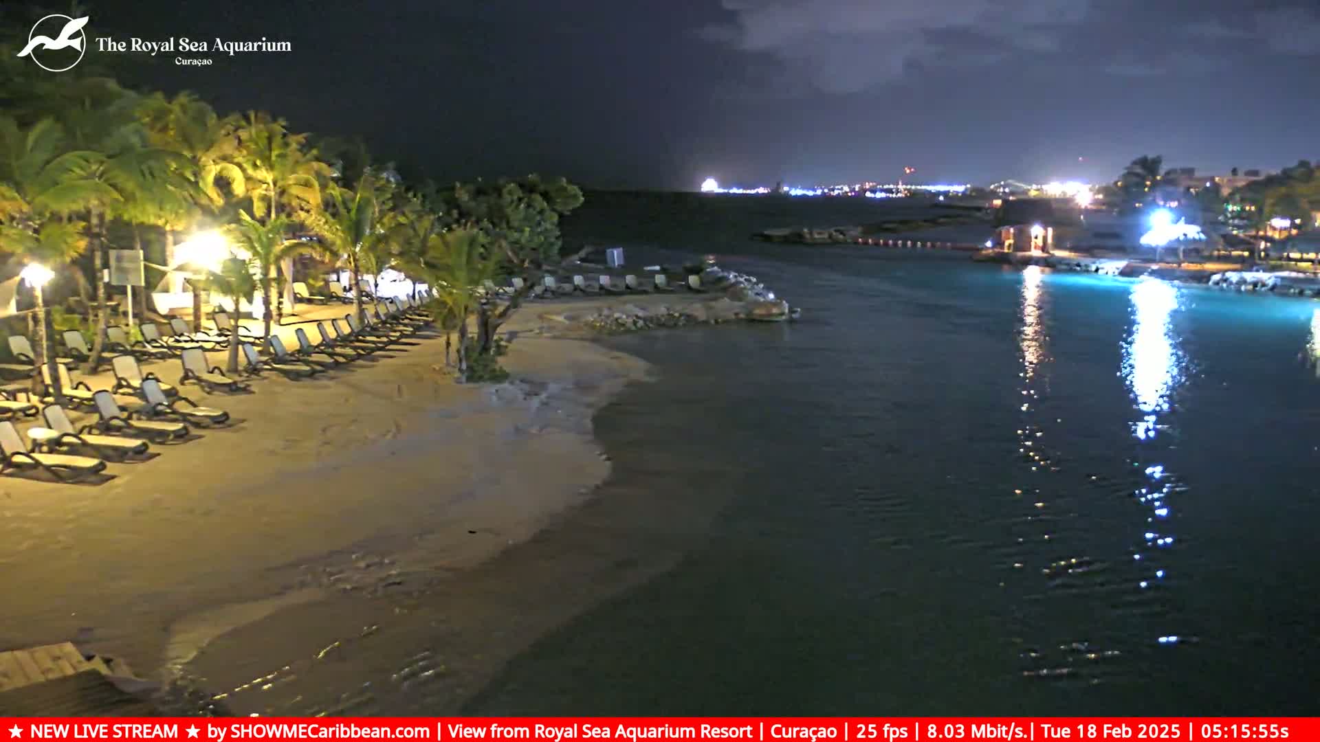 A nighttime beach scene shows a sandy shore lined with lounge chairs, palm trees, and calm, dark water reflecting lights from a nearby town.