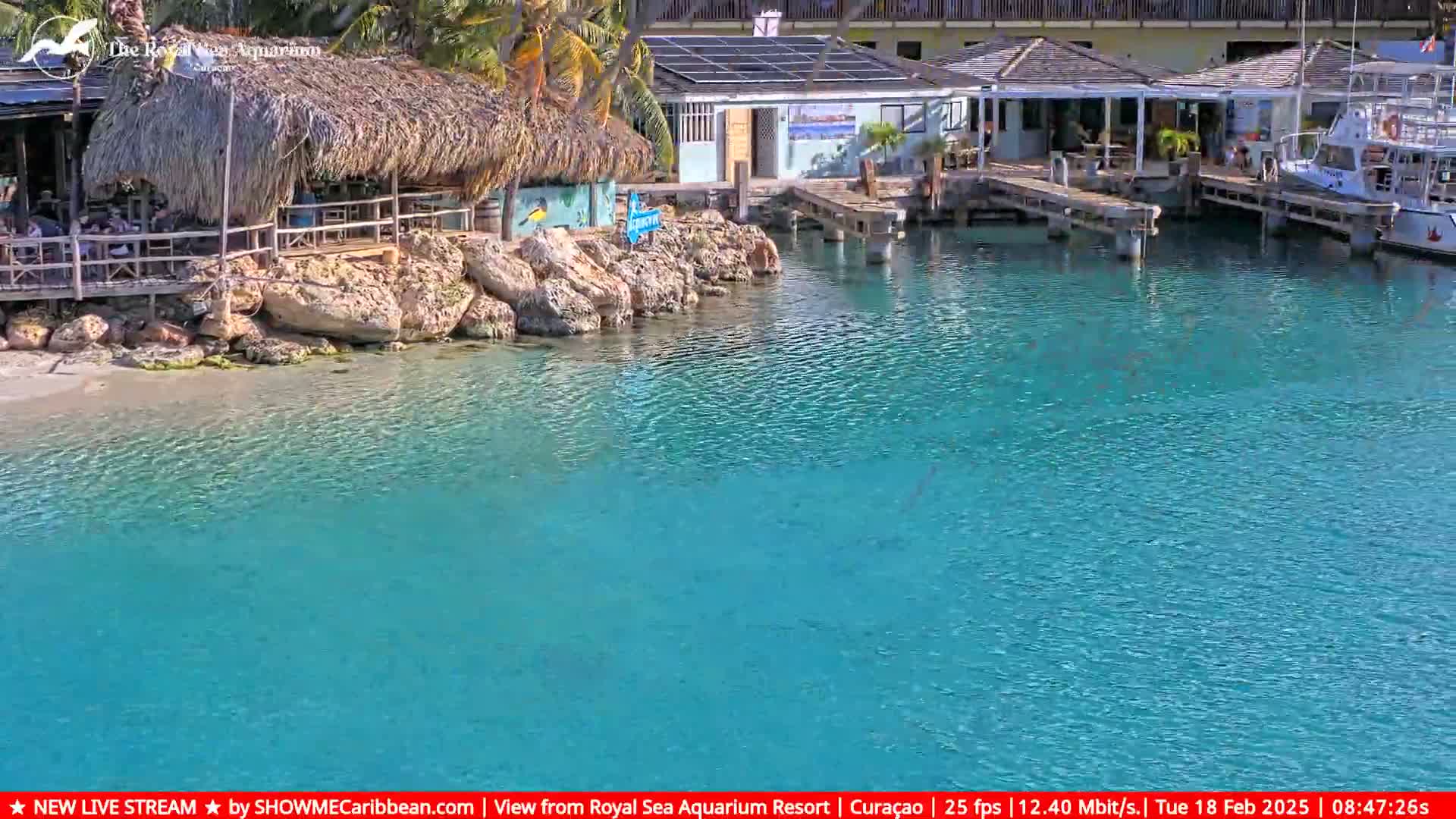 A calm, turquoise body of water laps a sandy shore near a thatched-roof bar and docked boats under a sunny sky.